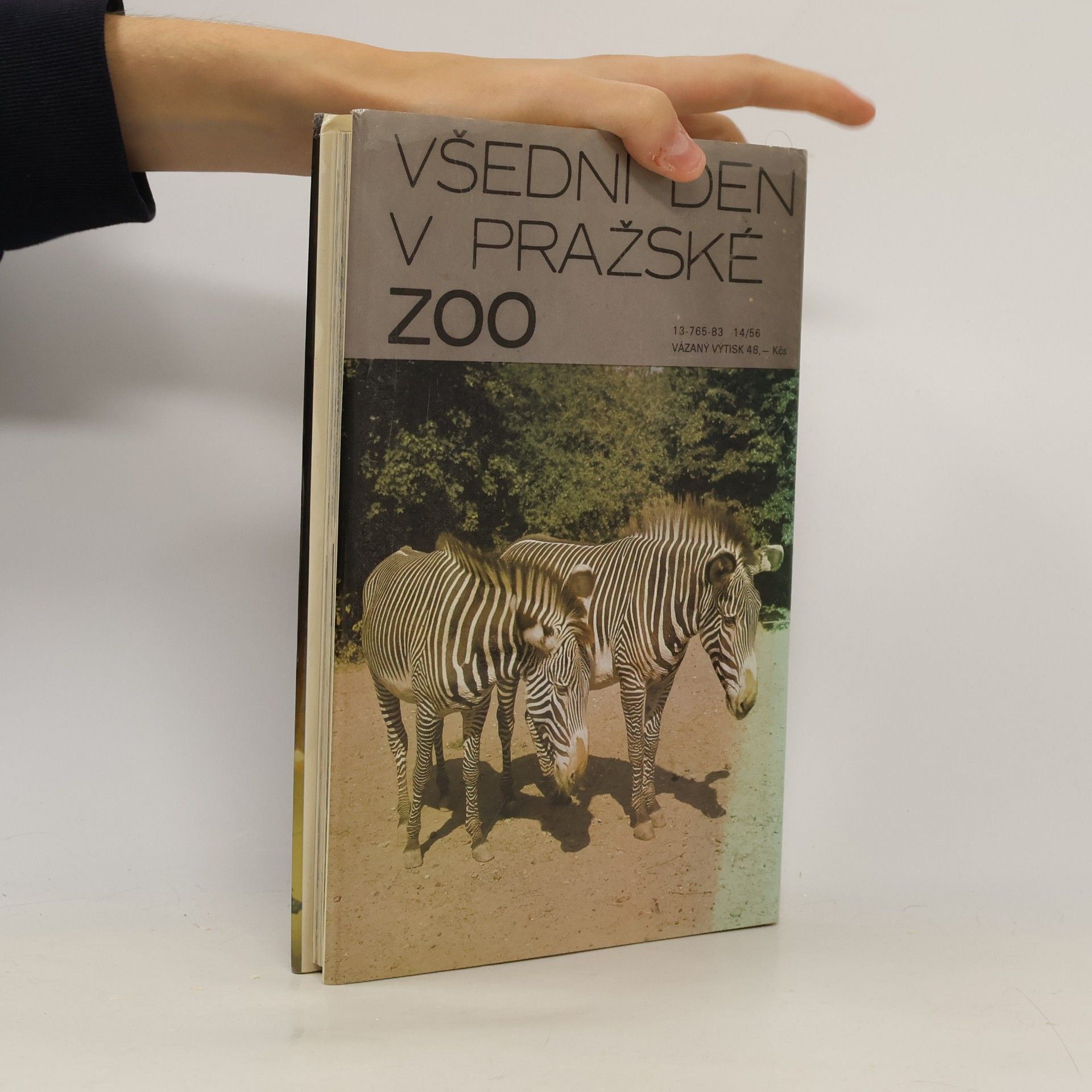 Zdeněk Veselovský Všední den v pražské ZOO