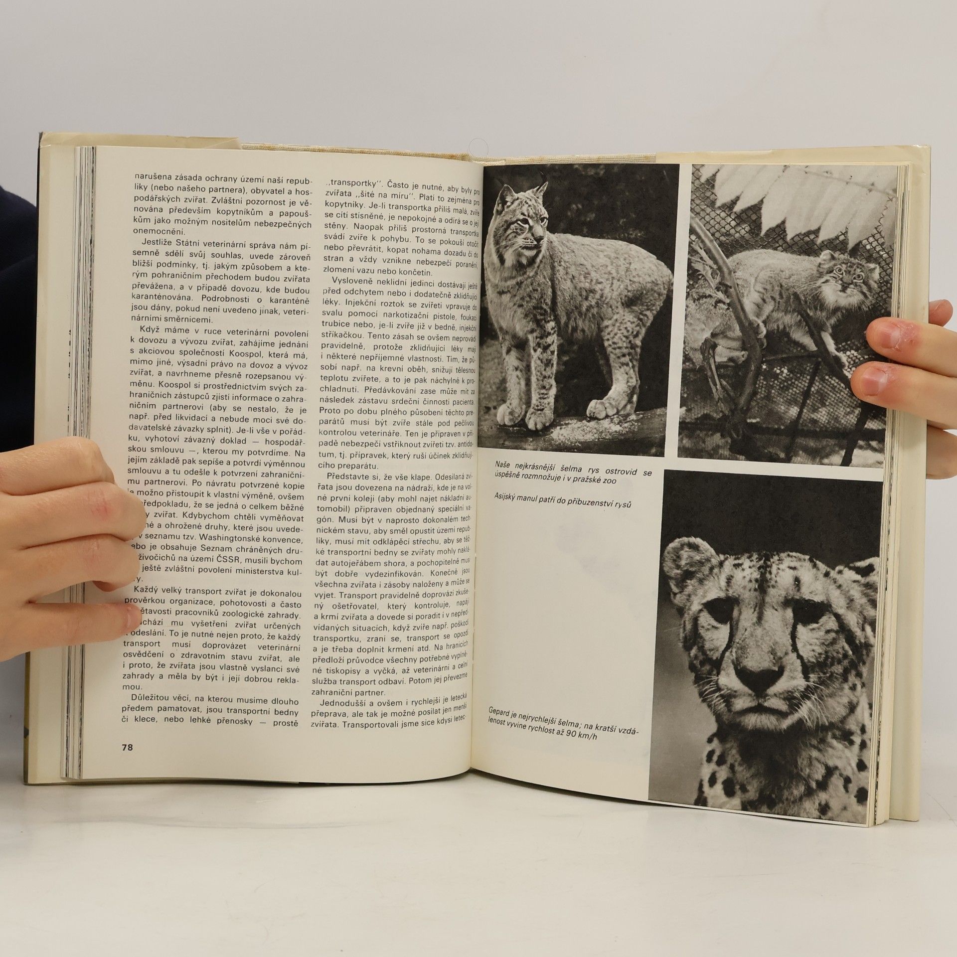 Zdeněk Veselovský Všední den v pražské ZOO