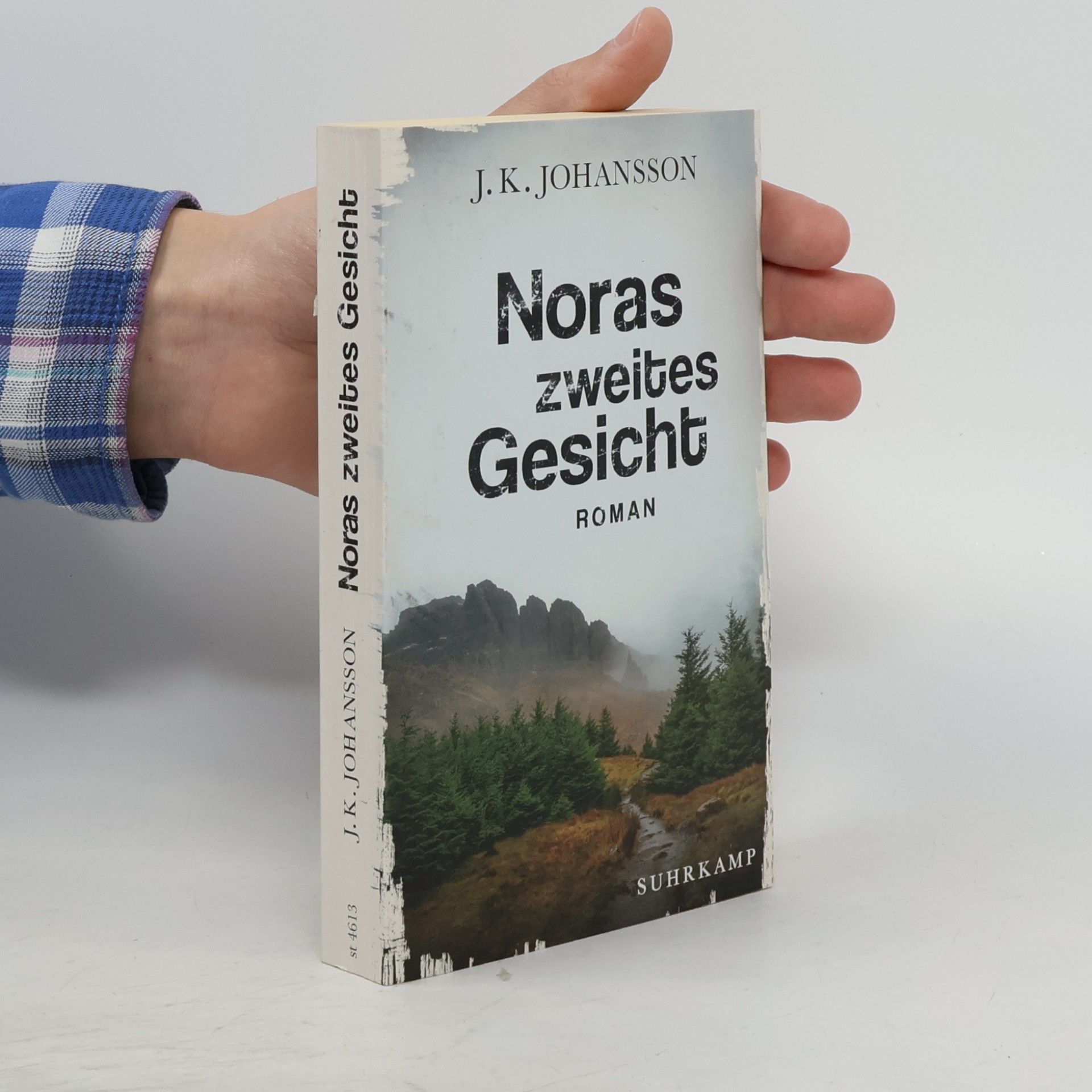 Noras zweites Gesicht