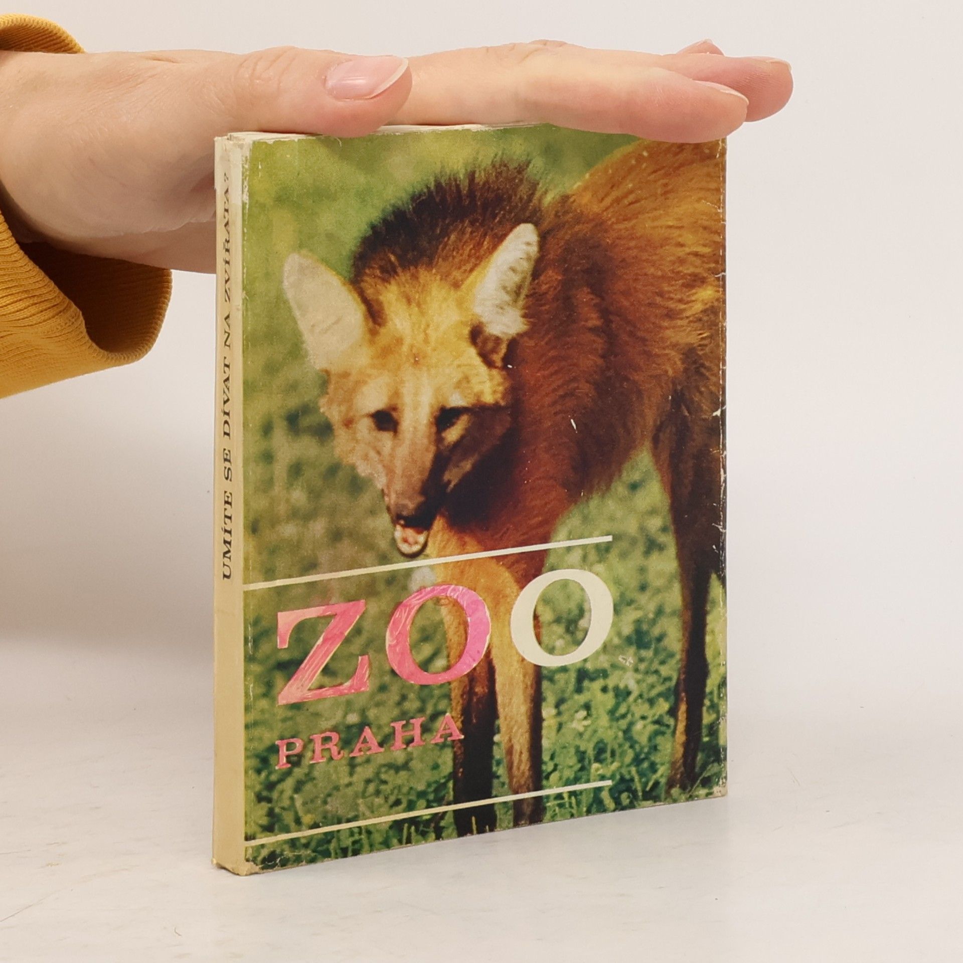 Zdeněk Veselovský ZOO Praha. Umíte se dívat na zvířata?
