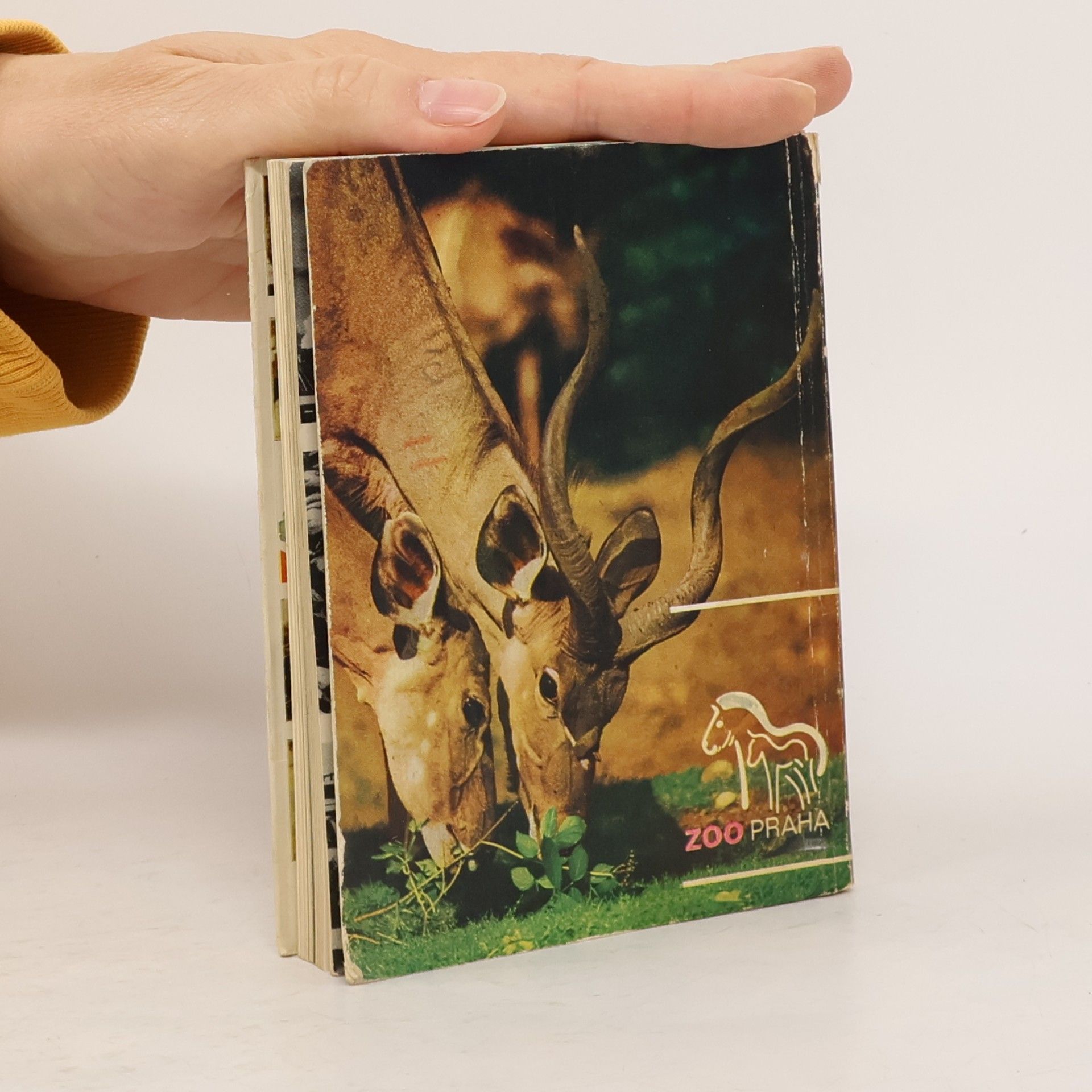 Zdeněk Veselovský ZOO Praha. Umíte se dívat na zvířata?