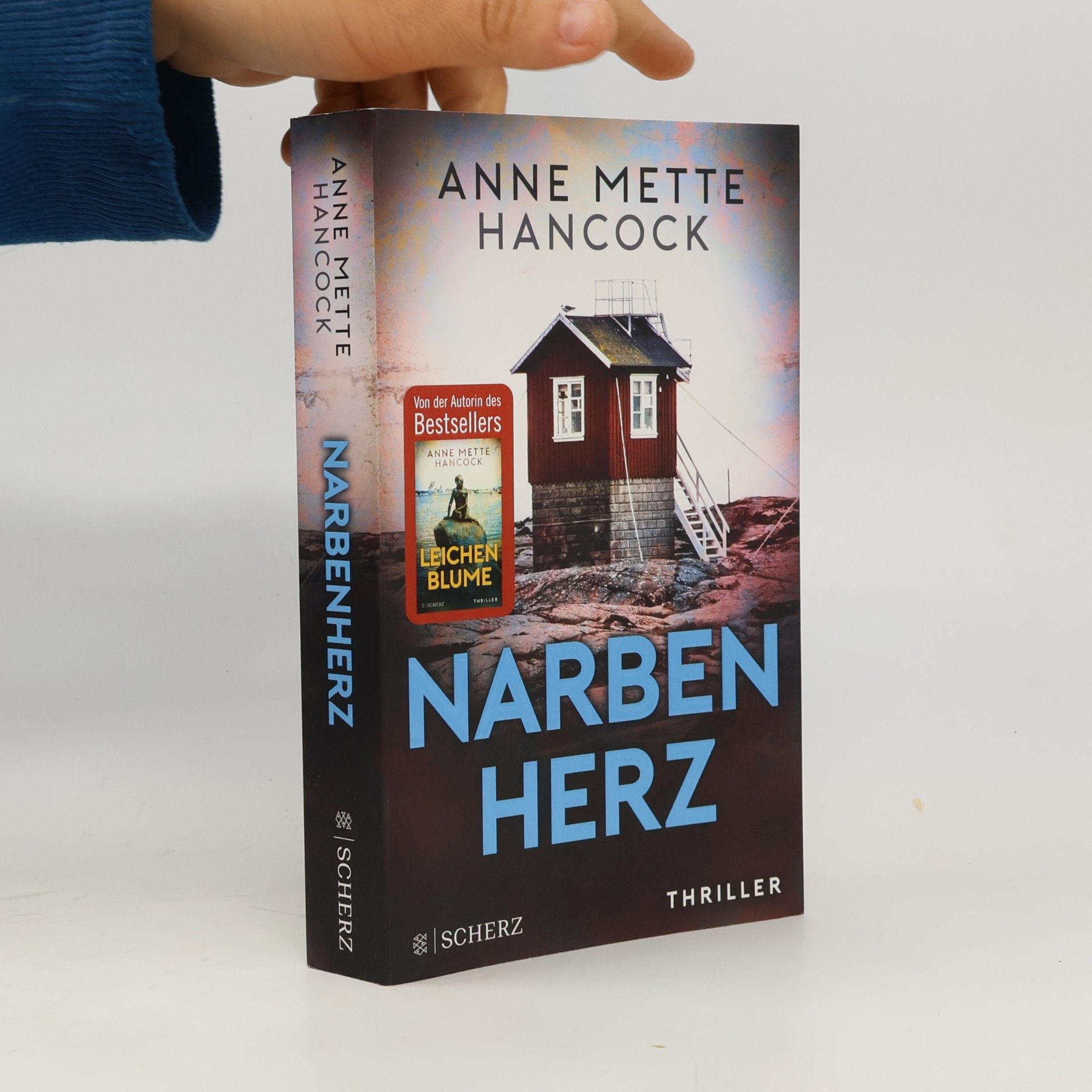 Anne Mette Hancock Narbenherz