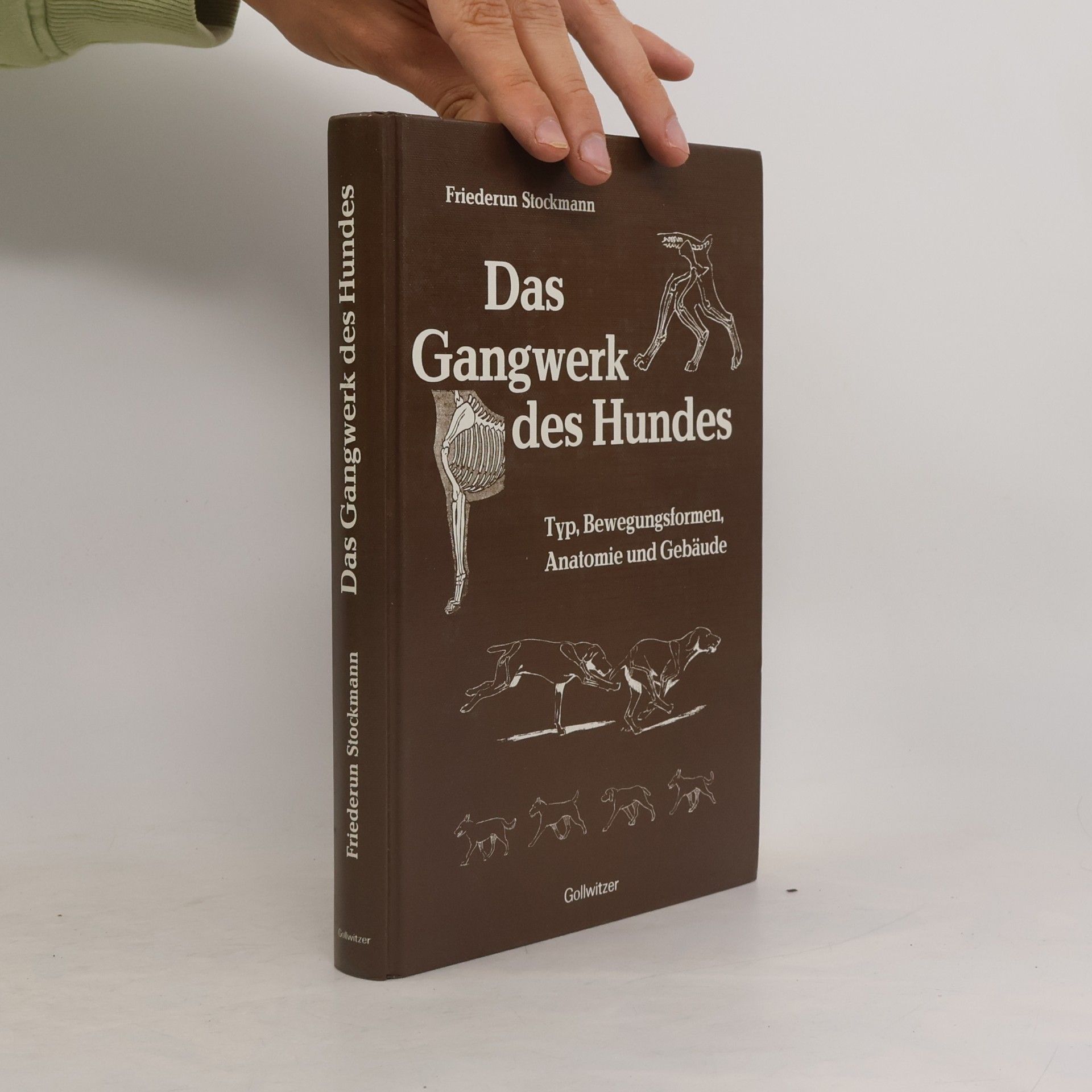 Vom Körperbau des Hundes