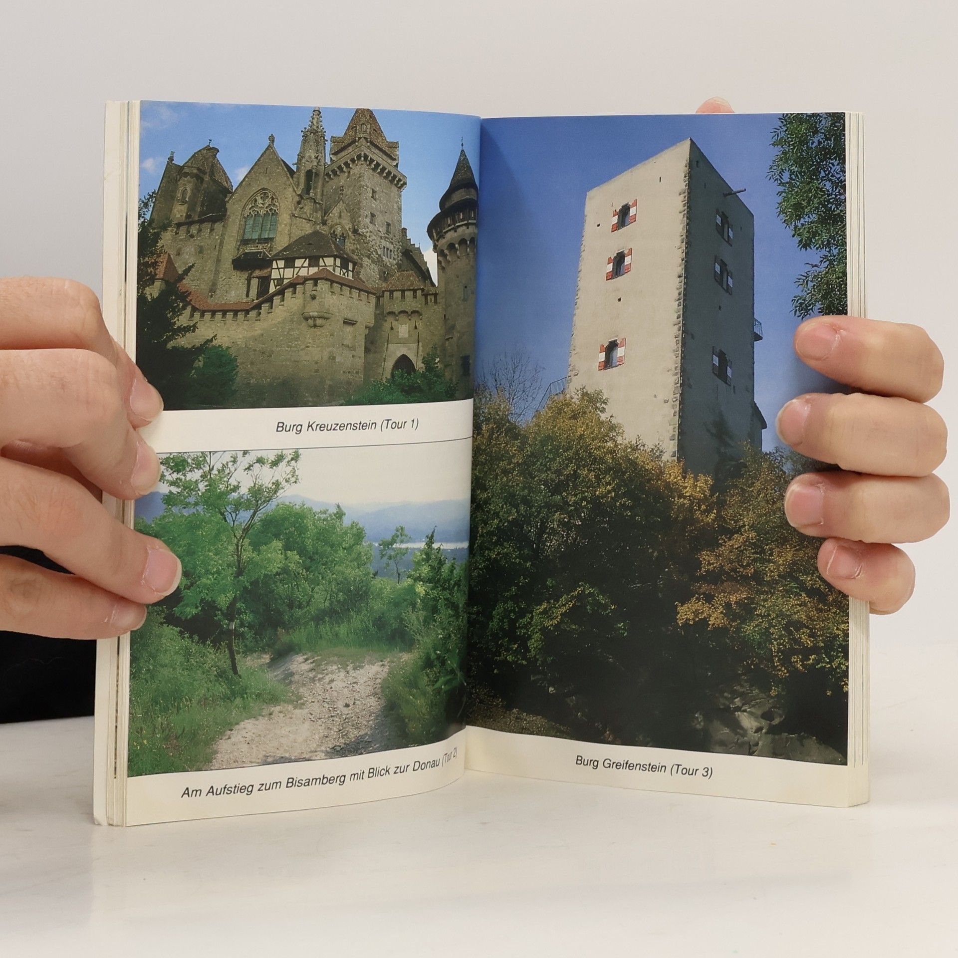 Renate Deininger Wiener Hausberge
