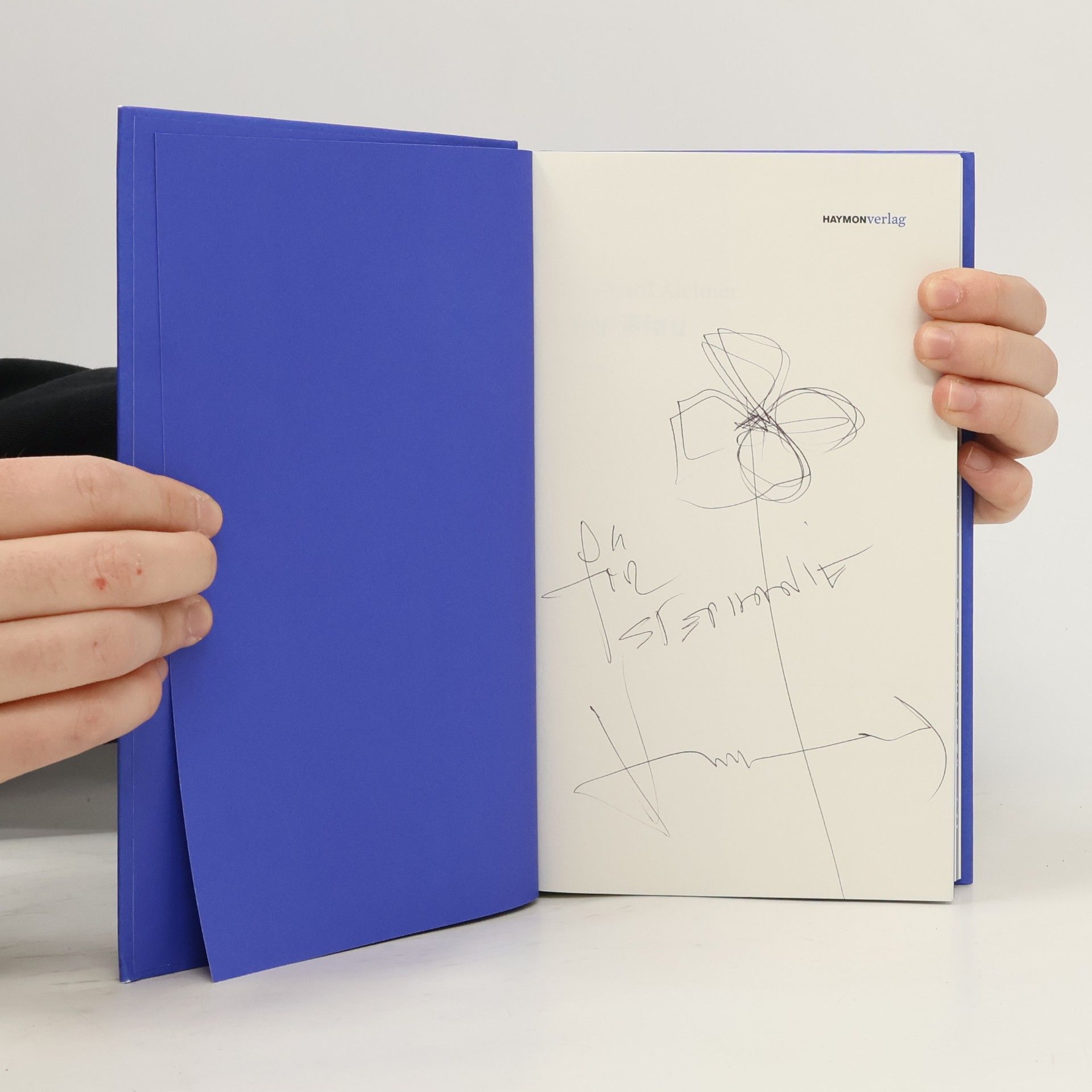 Bernhard Aichner Nur Blau