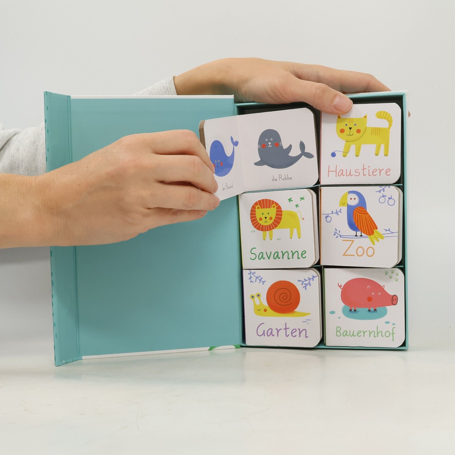 Joana Jesus Meine allererste Bücherbox - Tiere