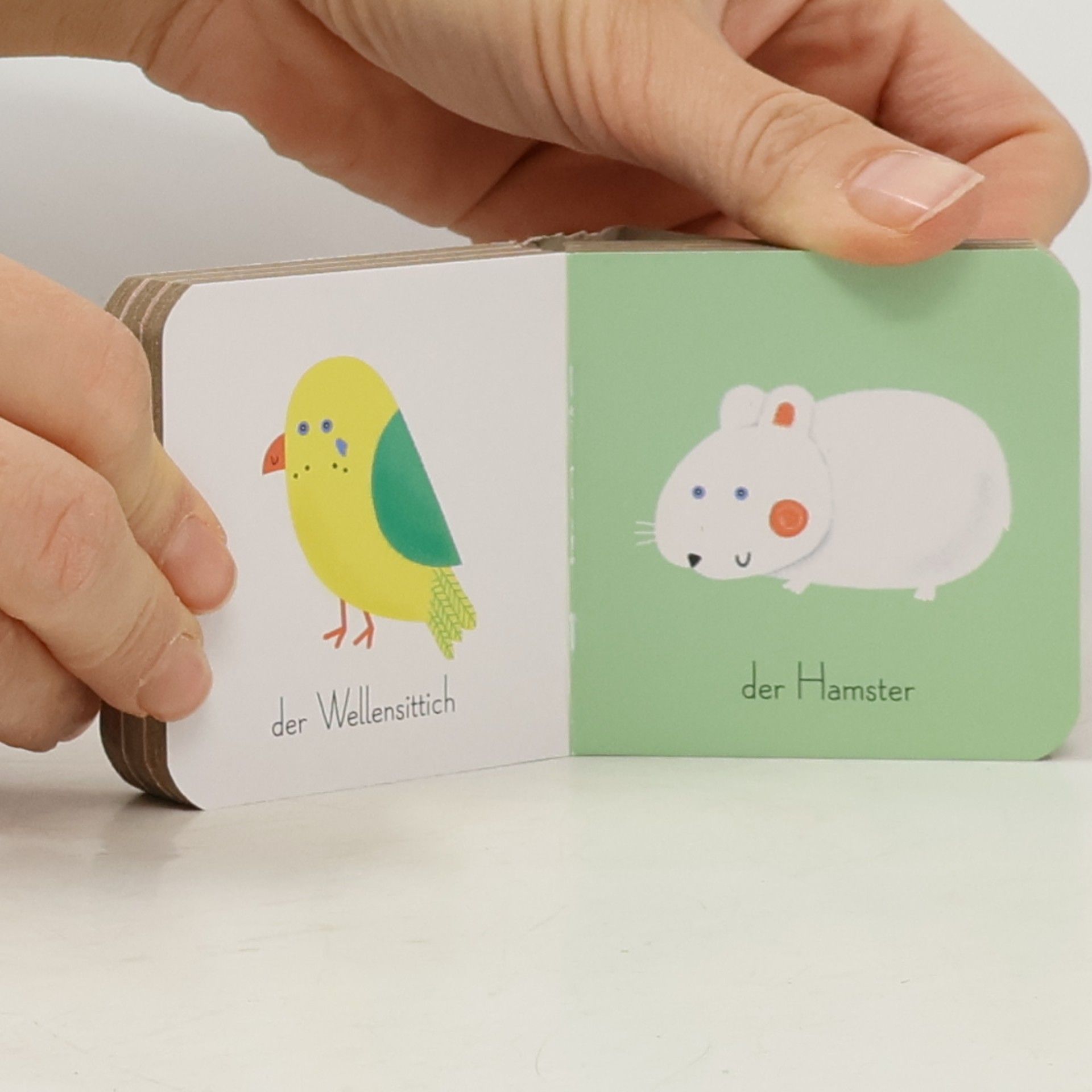 Joana Jesus Meine allererste Bücherbox - Tiere