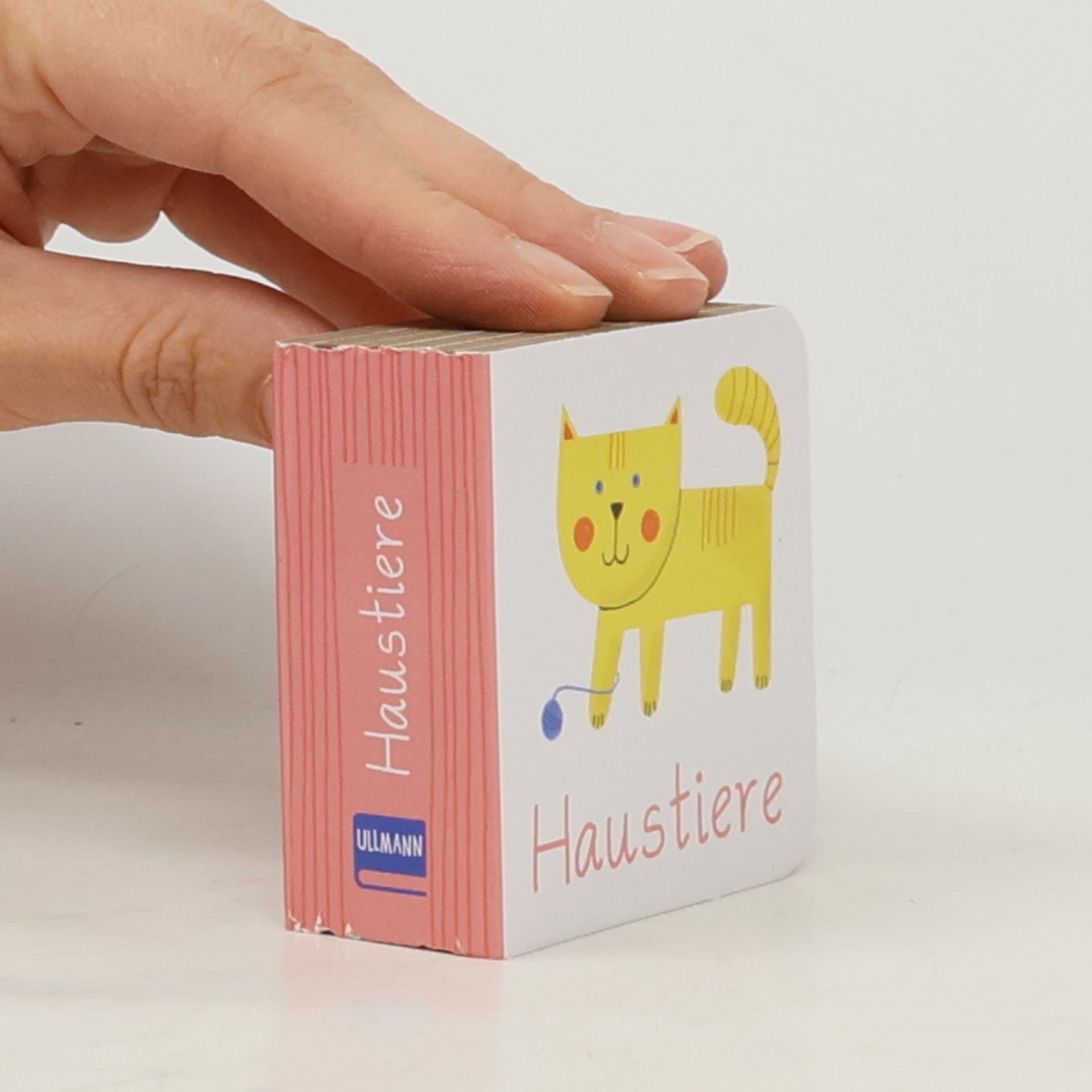 Joana Jesus Meine allererste Bücherbox - Tiere