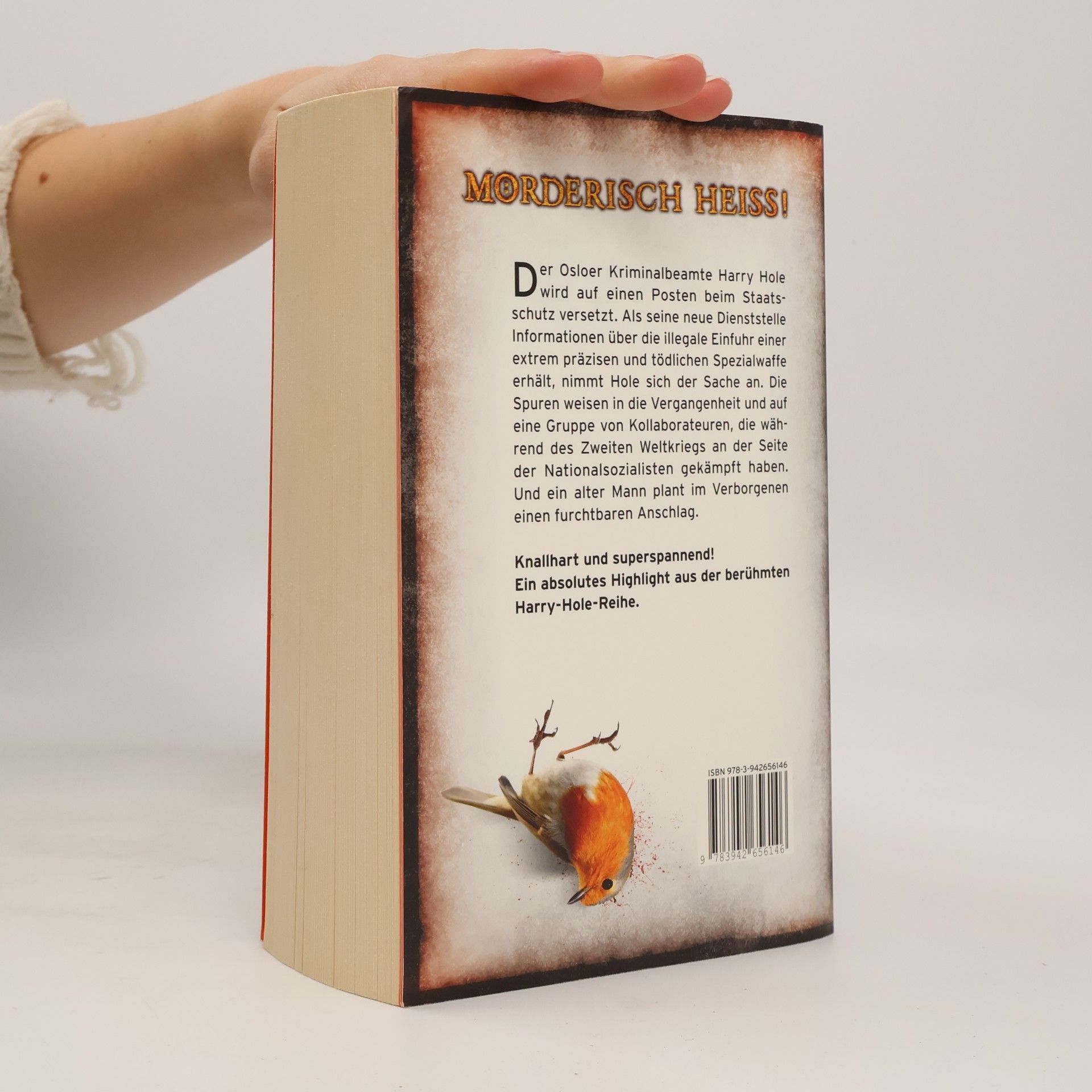 Jo Nesbø Rotkehlchen