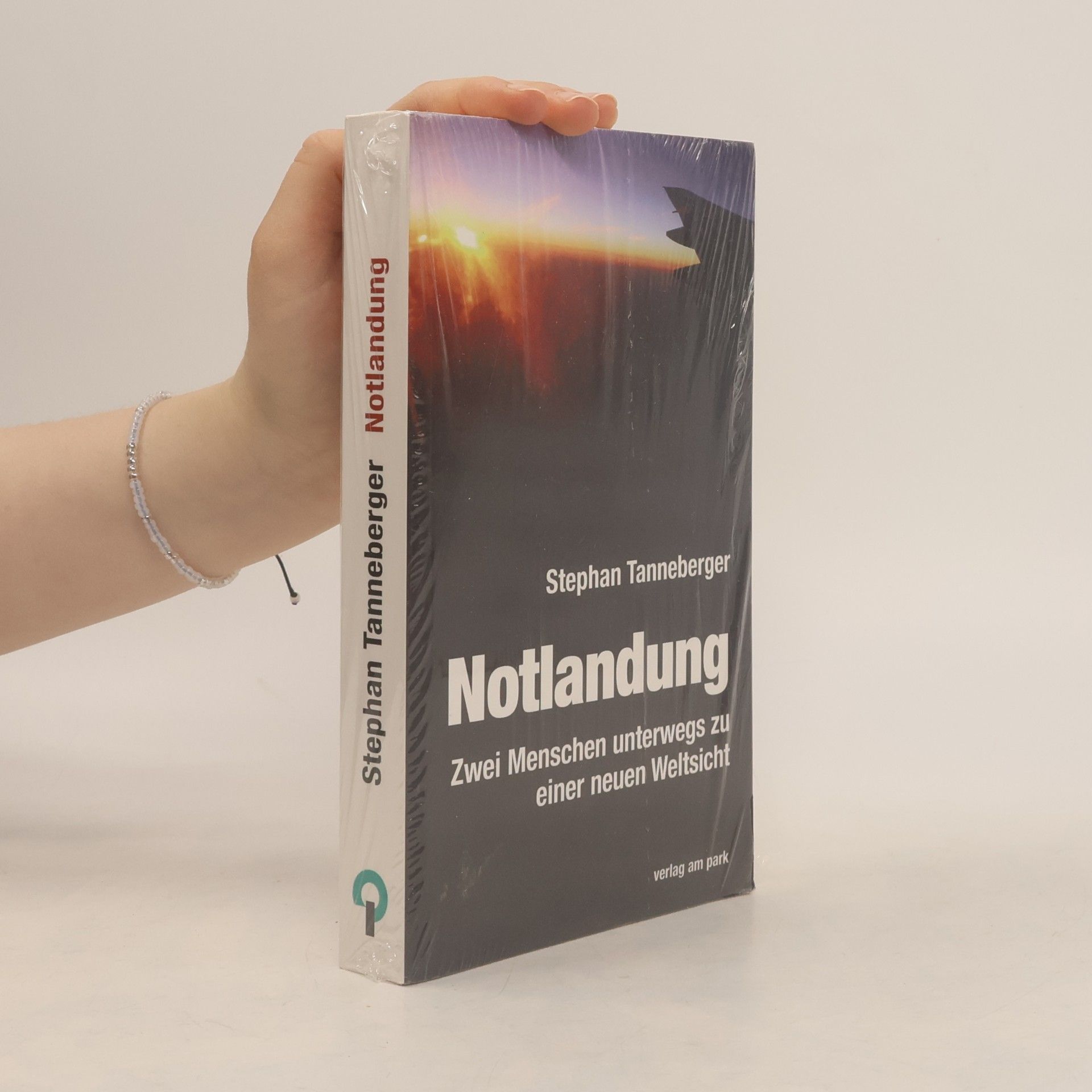 Stephan Tanneberger Notlandung