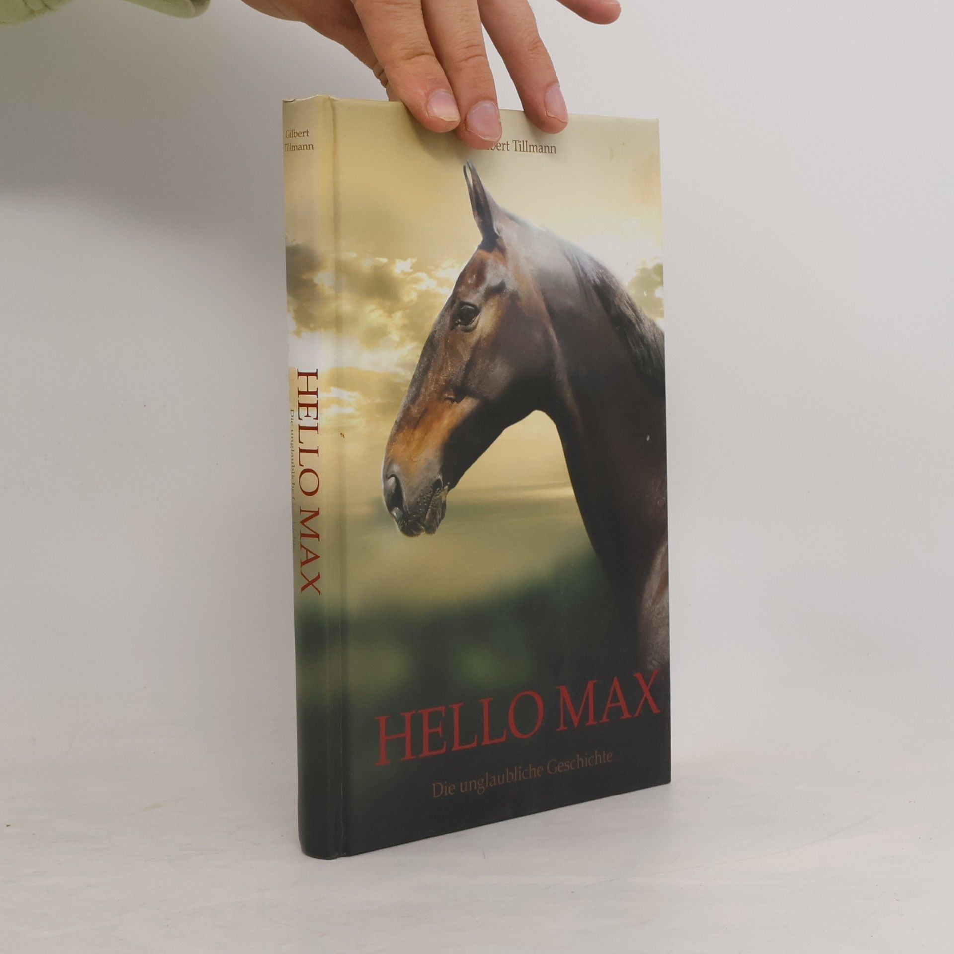 Gilbert Tillmann Hello Max