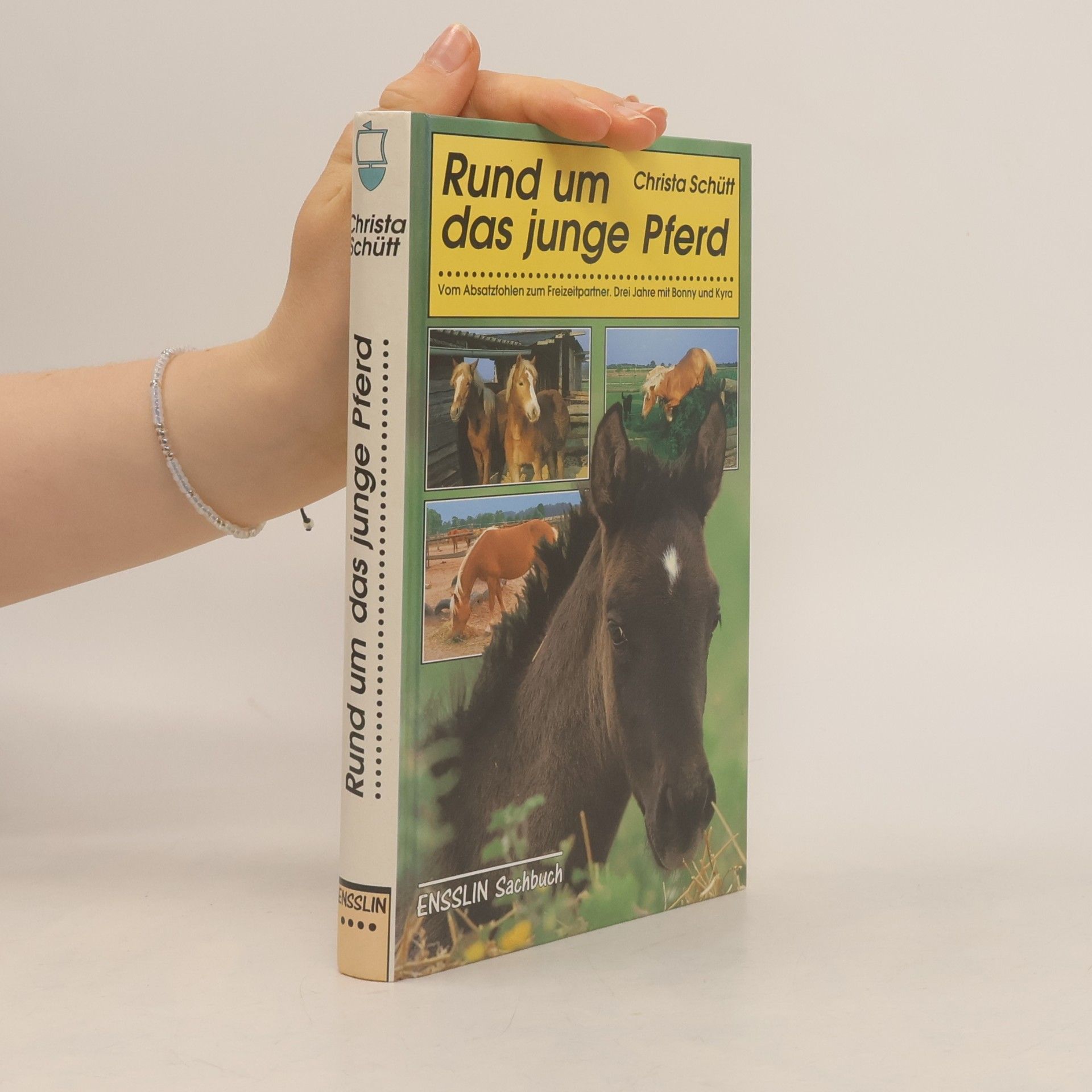 Christa Schütt Rund um das junge Pferd