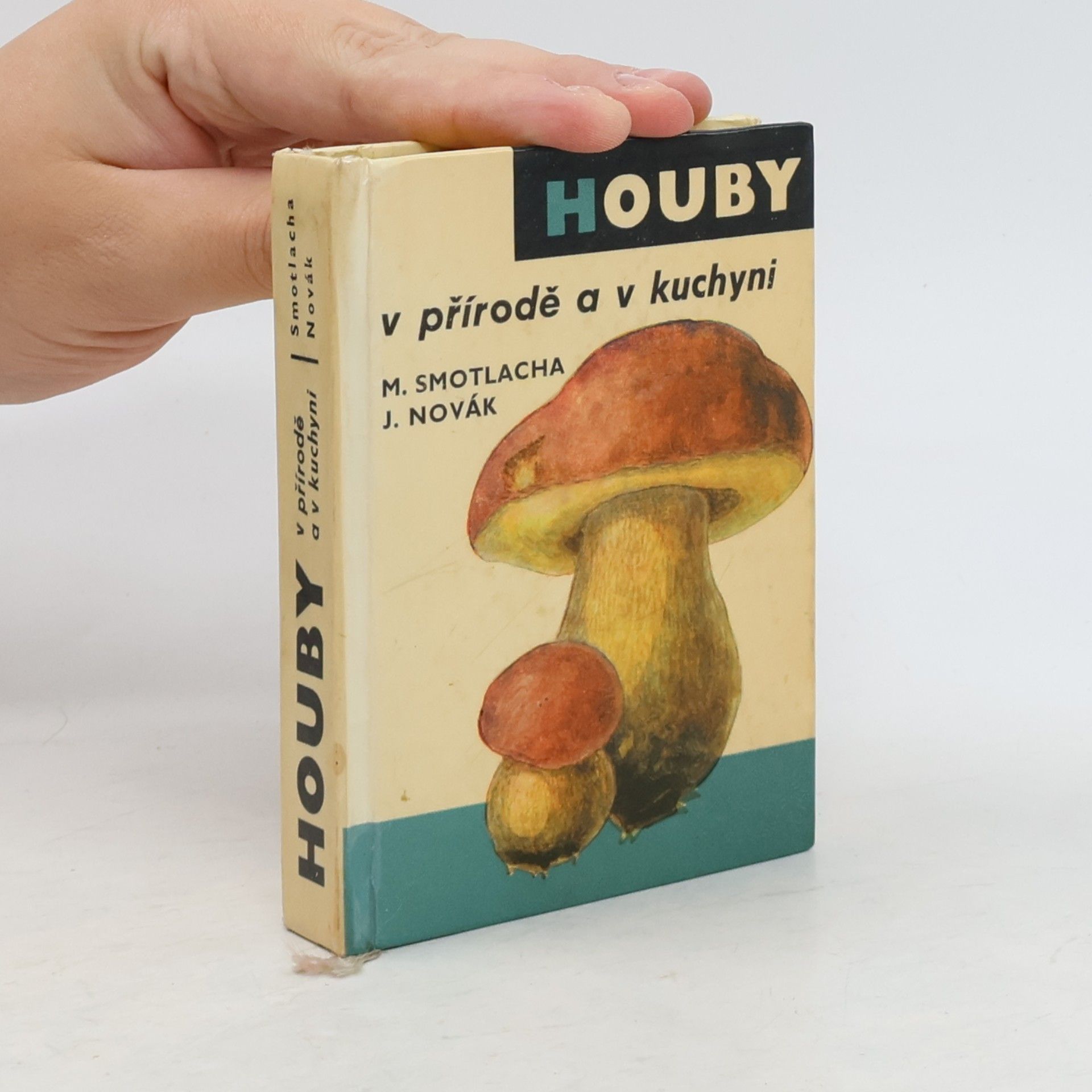 Houby v přírodě a v kuchyni