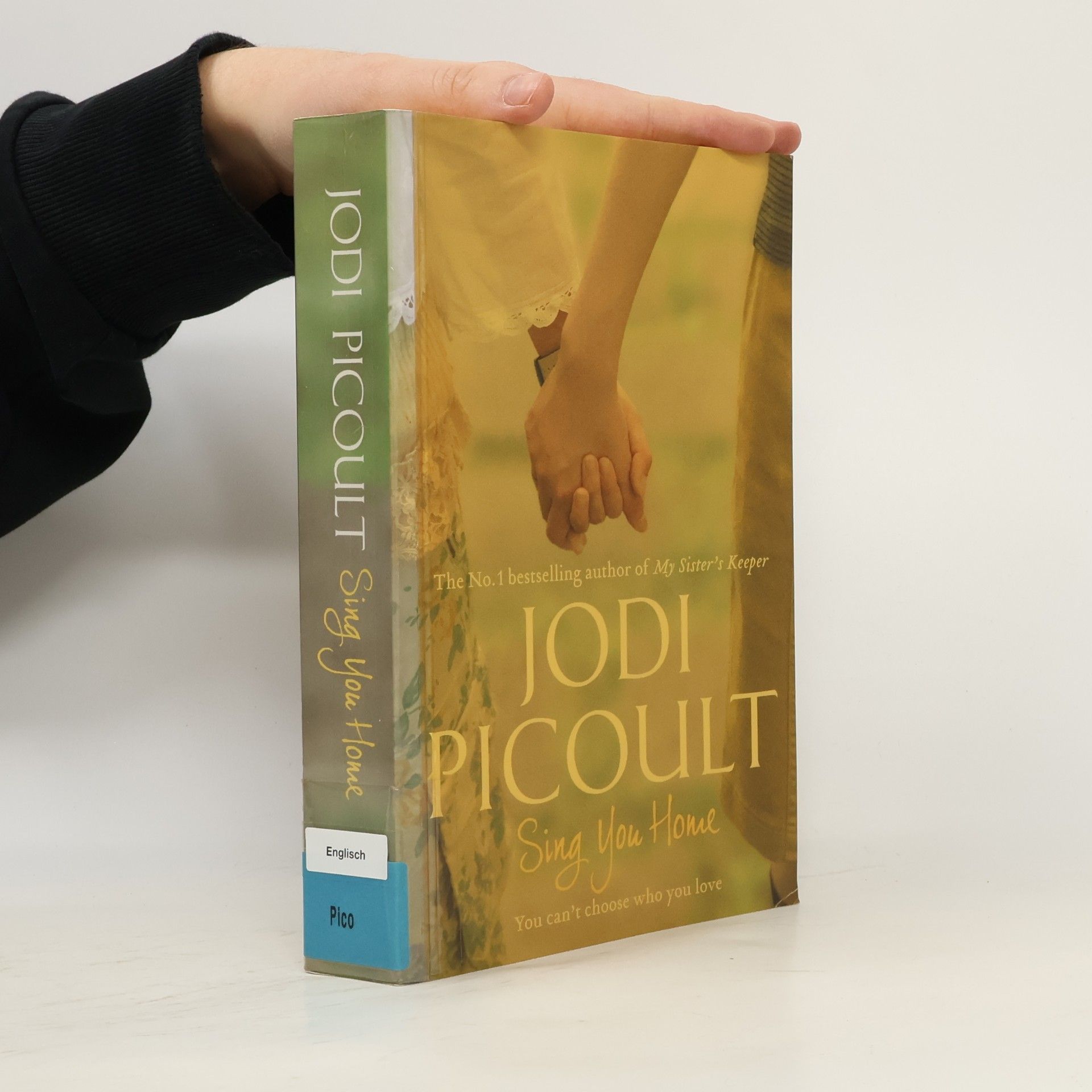 Jodi Picoult Sing You Home