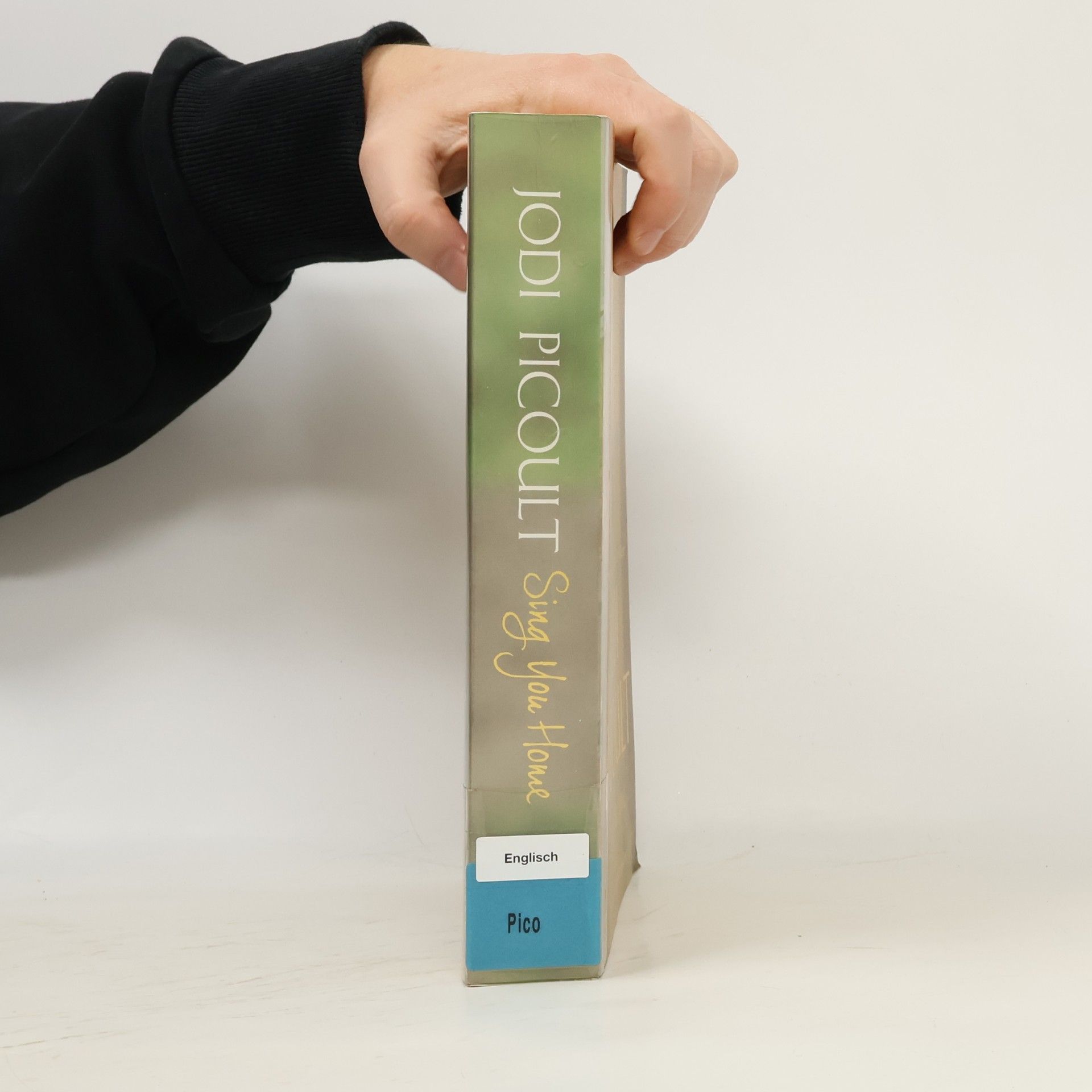Jodi Picoult Sing You Home