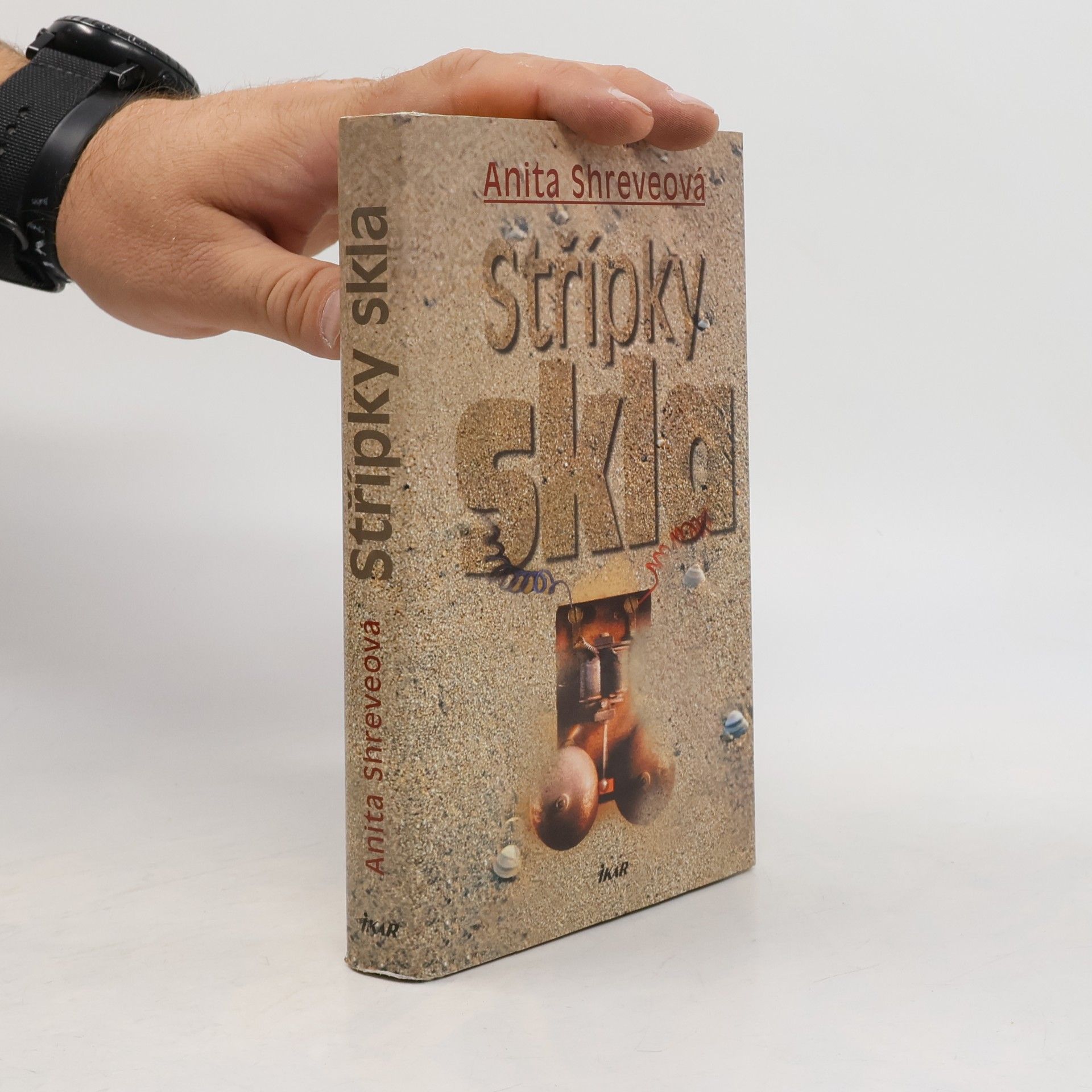 Anita Shreve Střípky skla