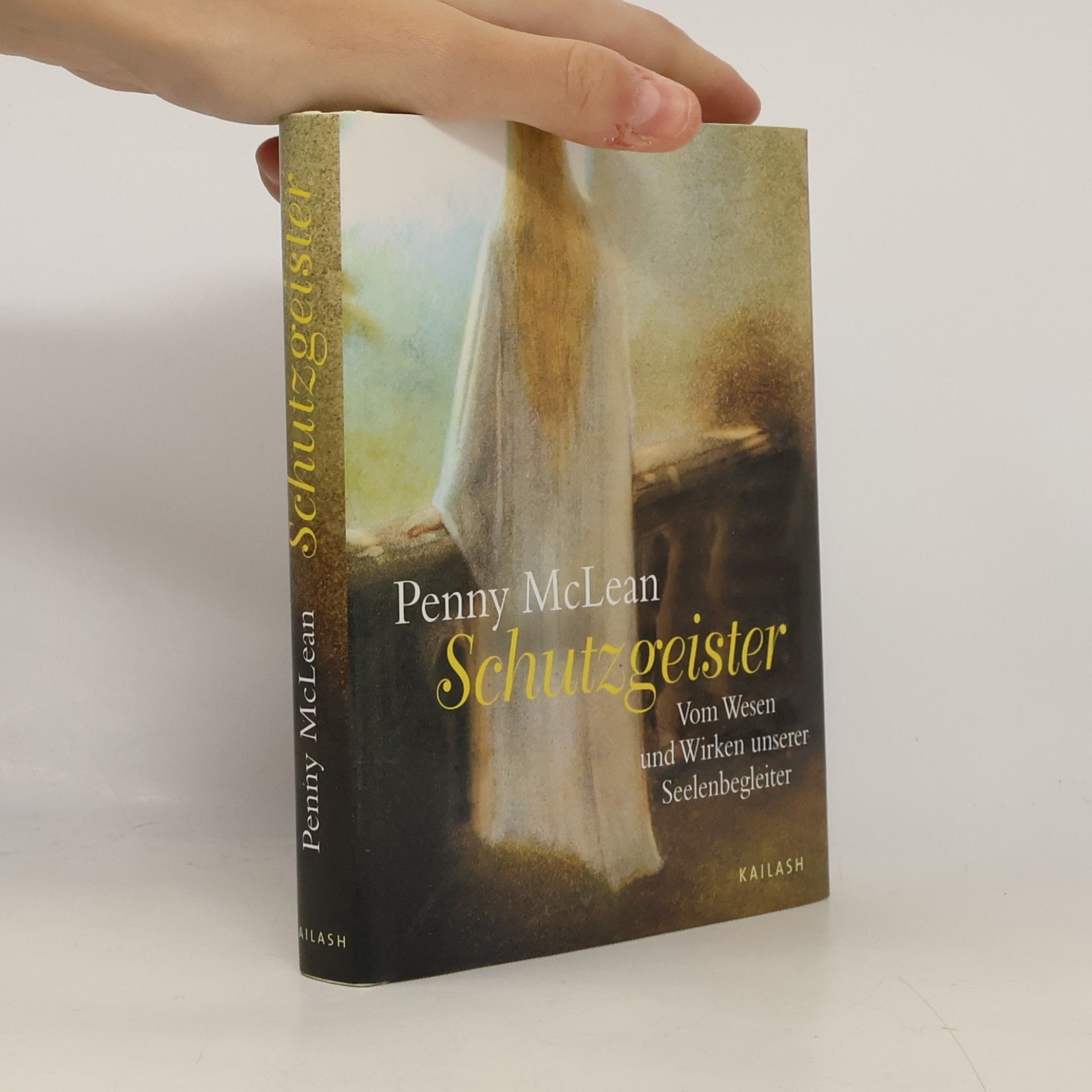 Penny McLean Schutzgeister