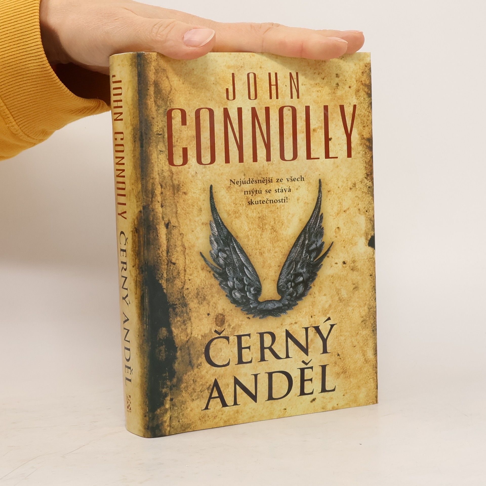 John Connolly Černý anděl