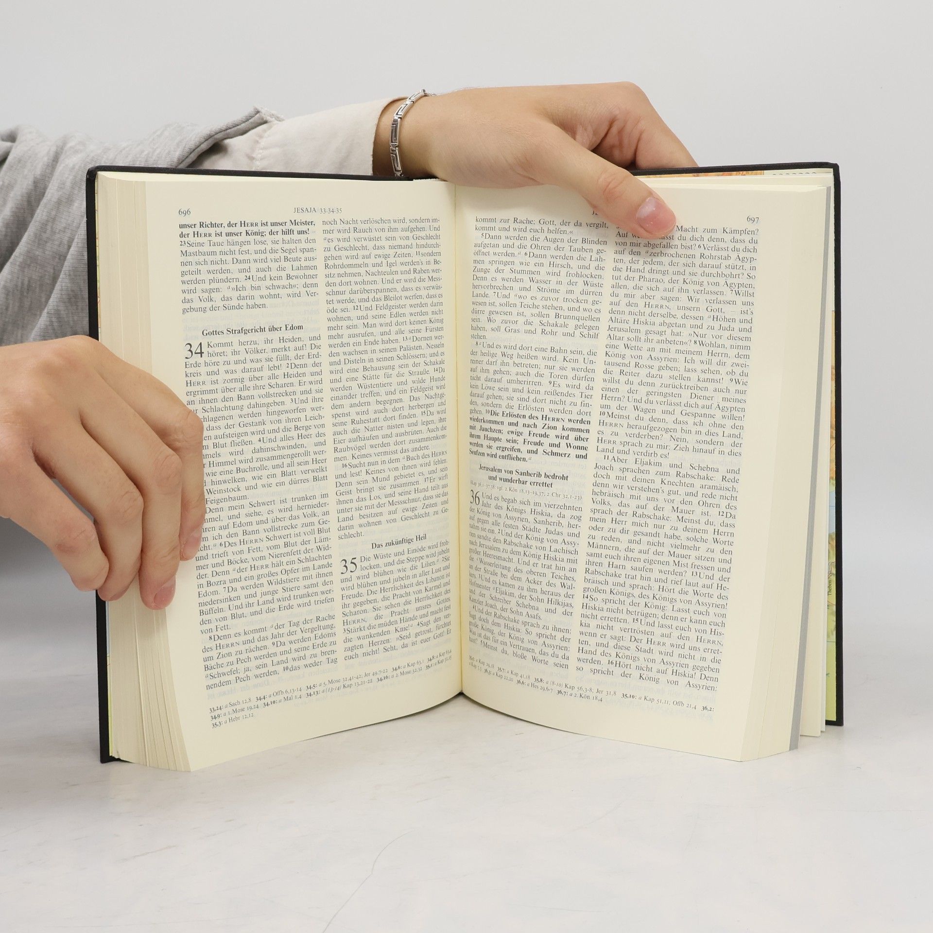 Martin Luther Die Bibel nach Martin Luther