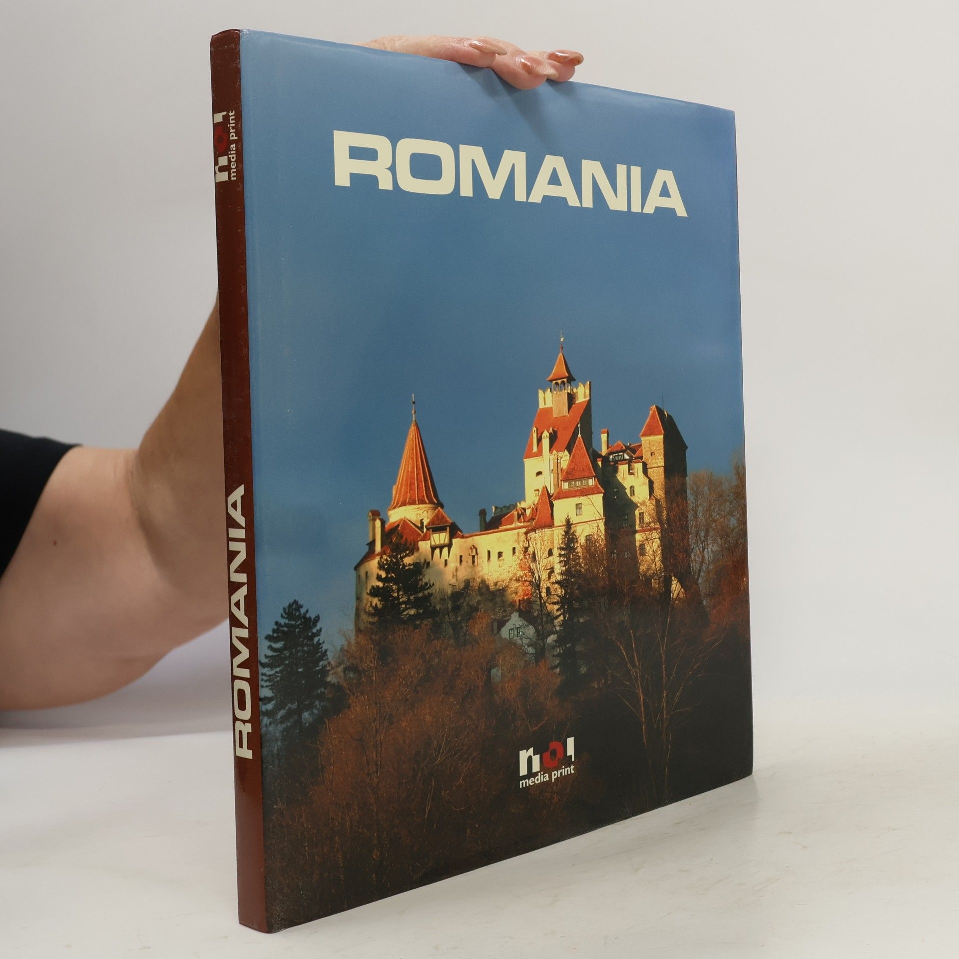 Florin Andreescu Romania