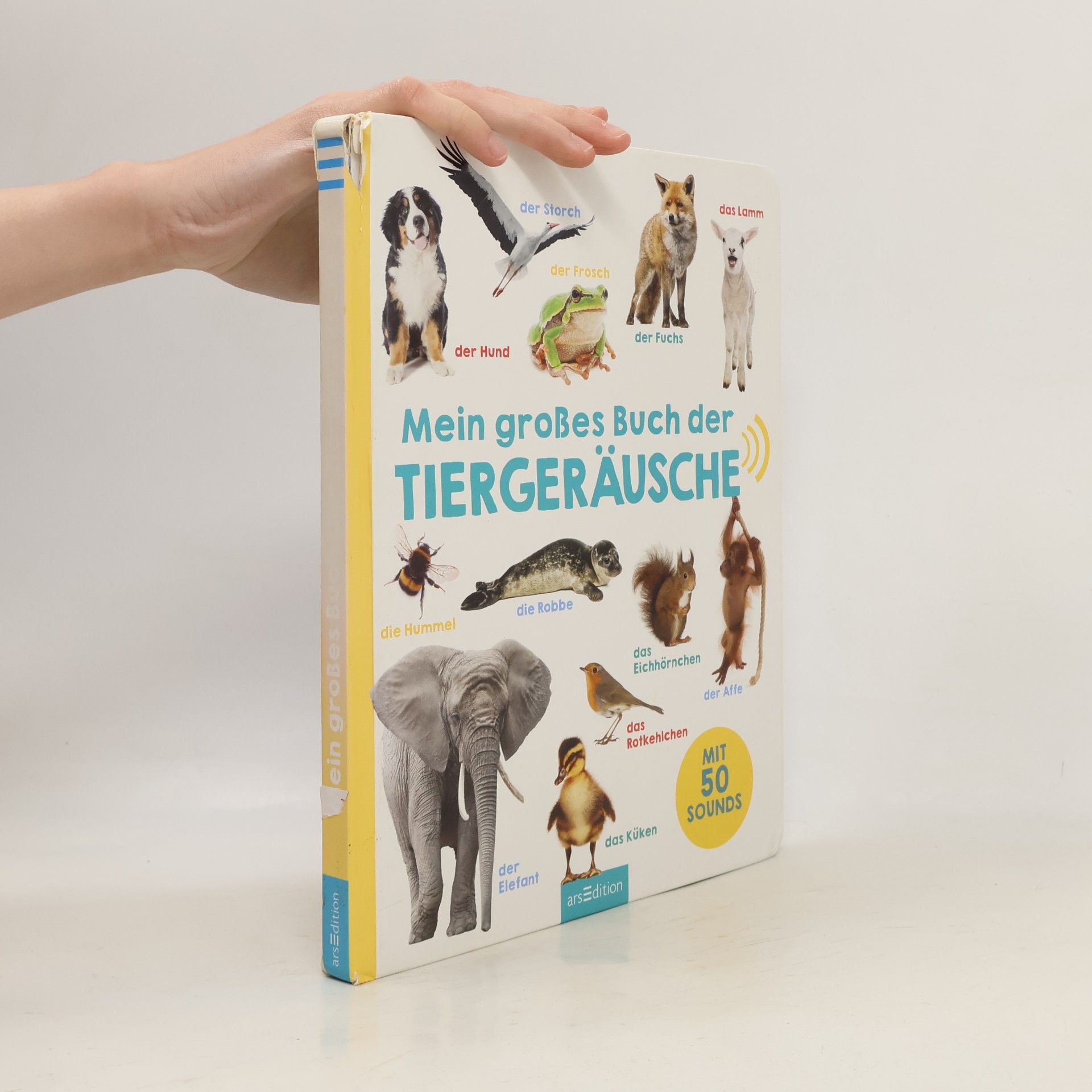 kolektiv Mein großes Buch der Tiergeräusche