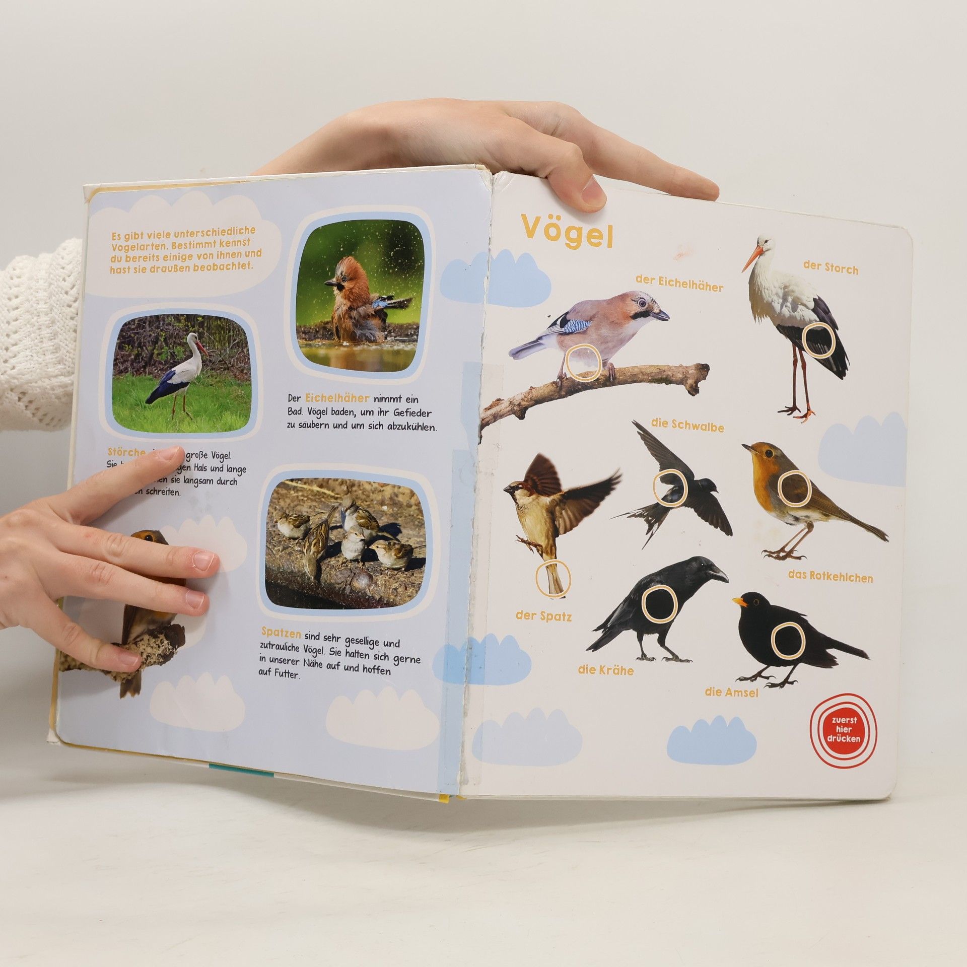 kolektiv Mein großes Buch der Tiergeräusche