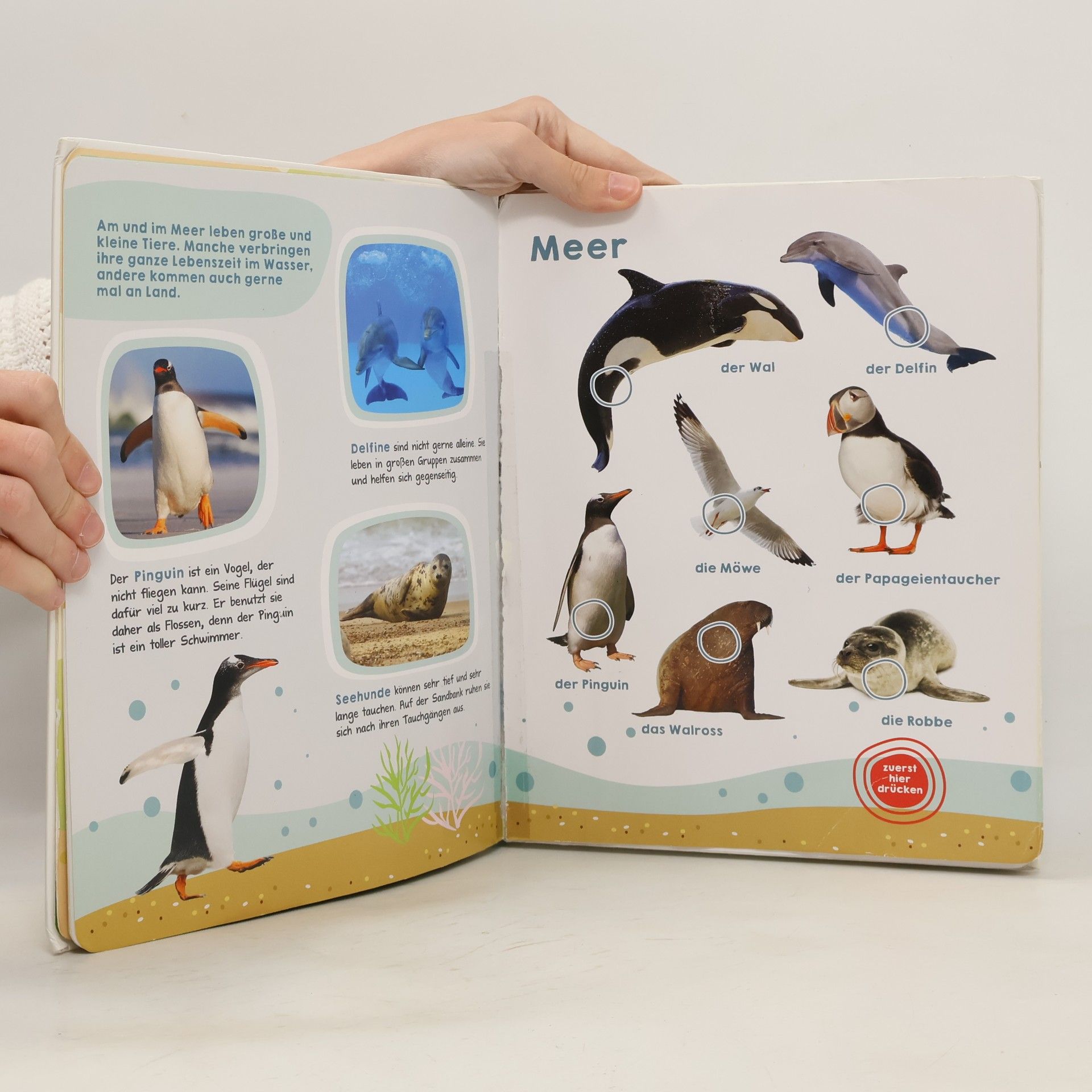 kolektiv Mein großes Buch der Tiergeräusche