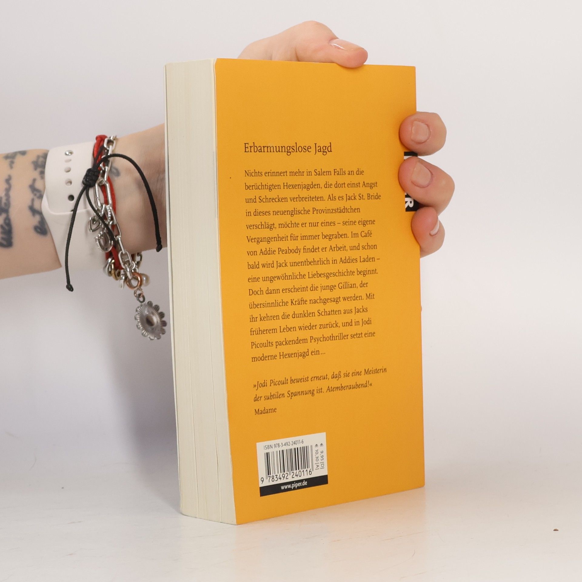Jodi Picoult Die Hexenjagd von Salem Falls
