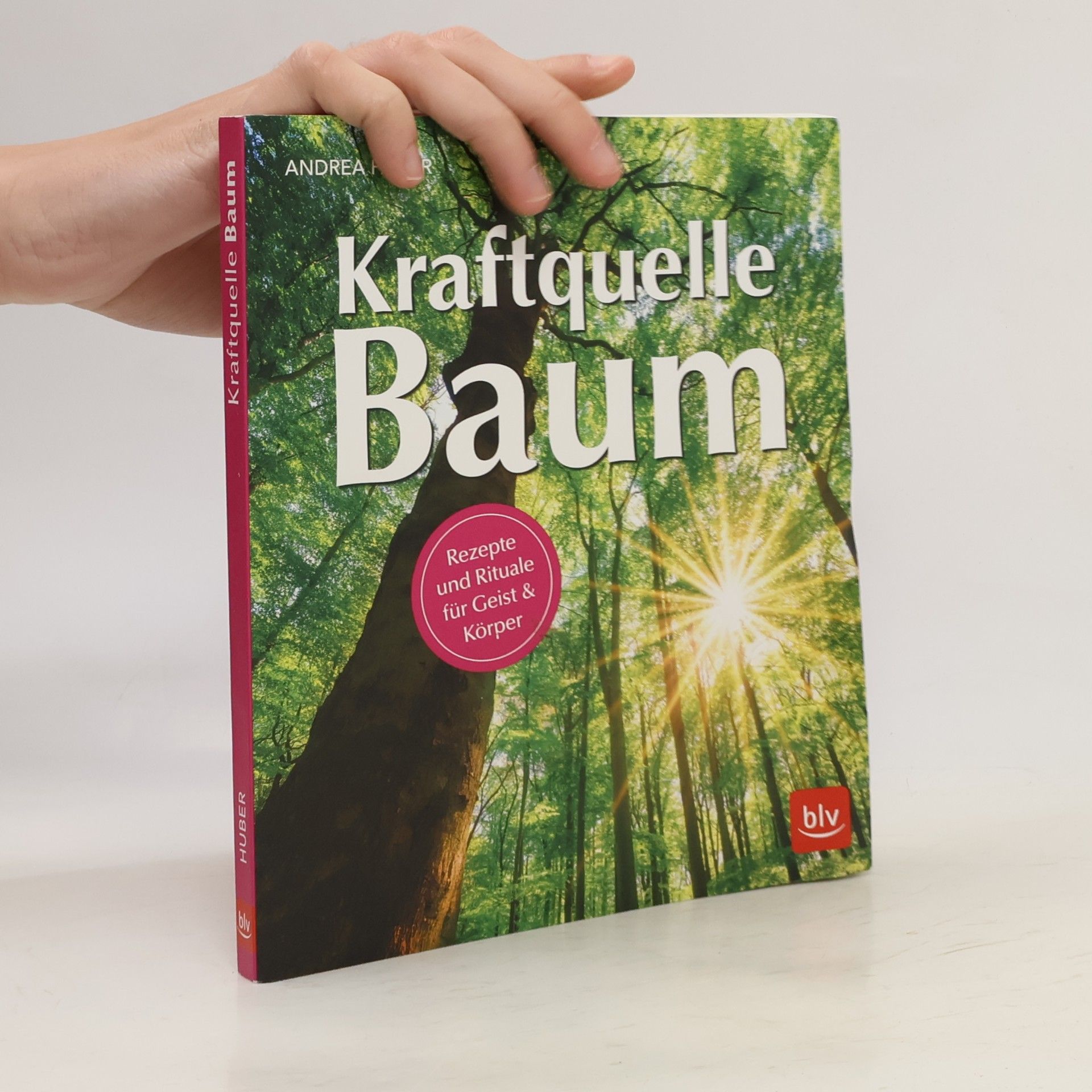 Andrea Huber Kraftquelle Baum