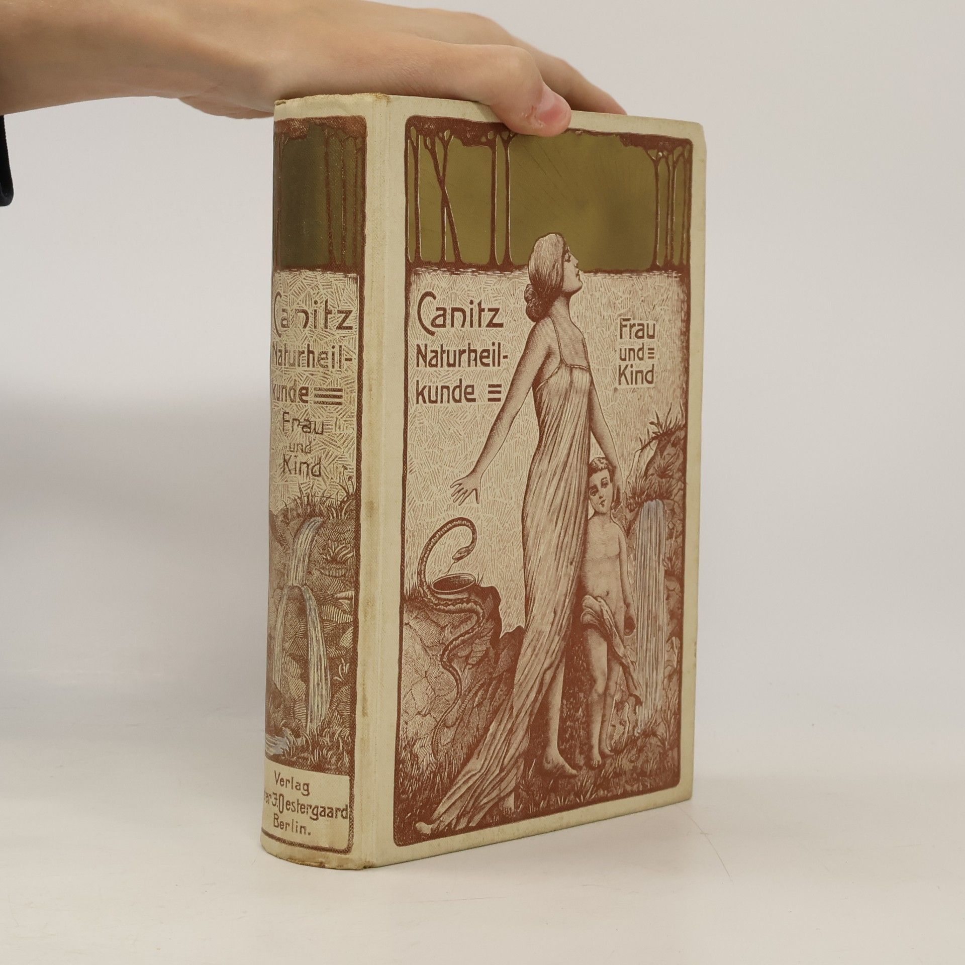 Canitz Naturheilkunde. Die Frauenkrankheiten