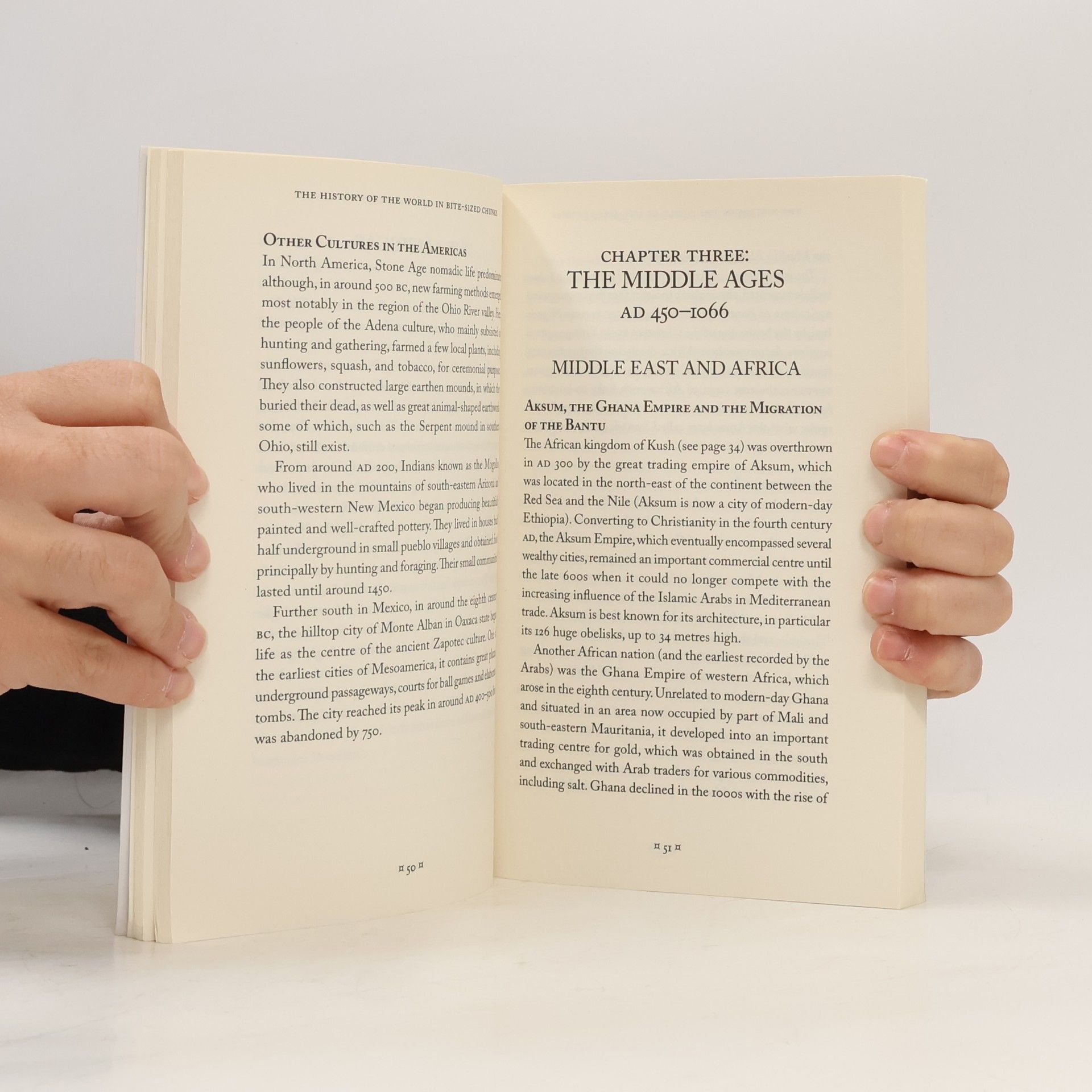 Emma Marriott The History of the World in Bite-Sized Chunks
