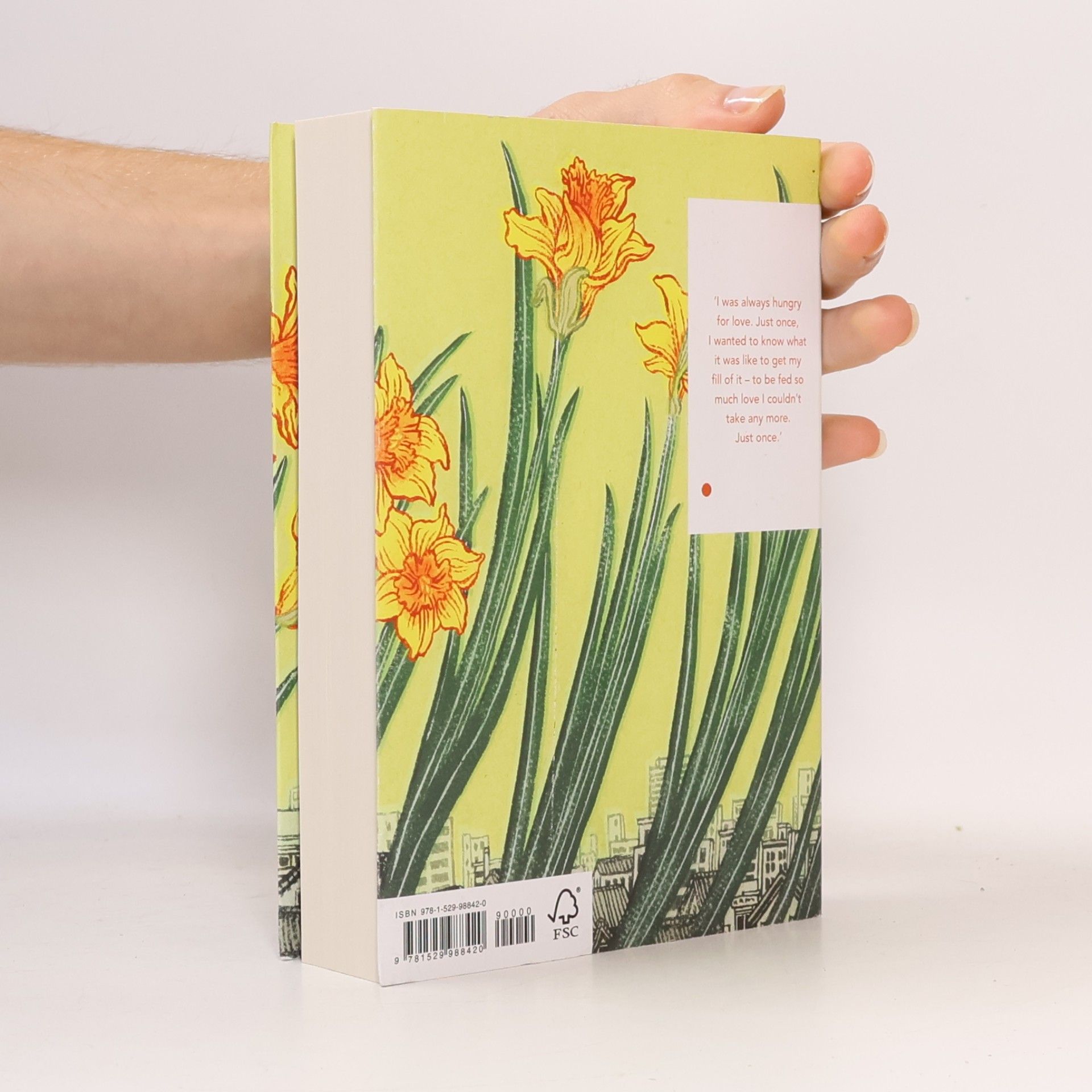 Haruki Murakami Vintage Classics Japanese Series: Norwegian Wood