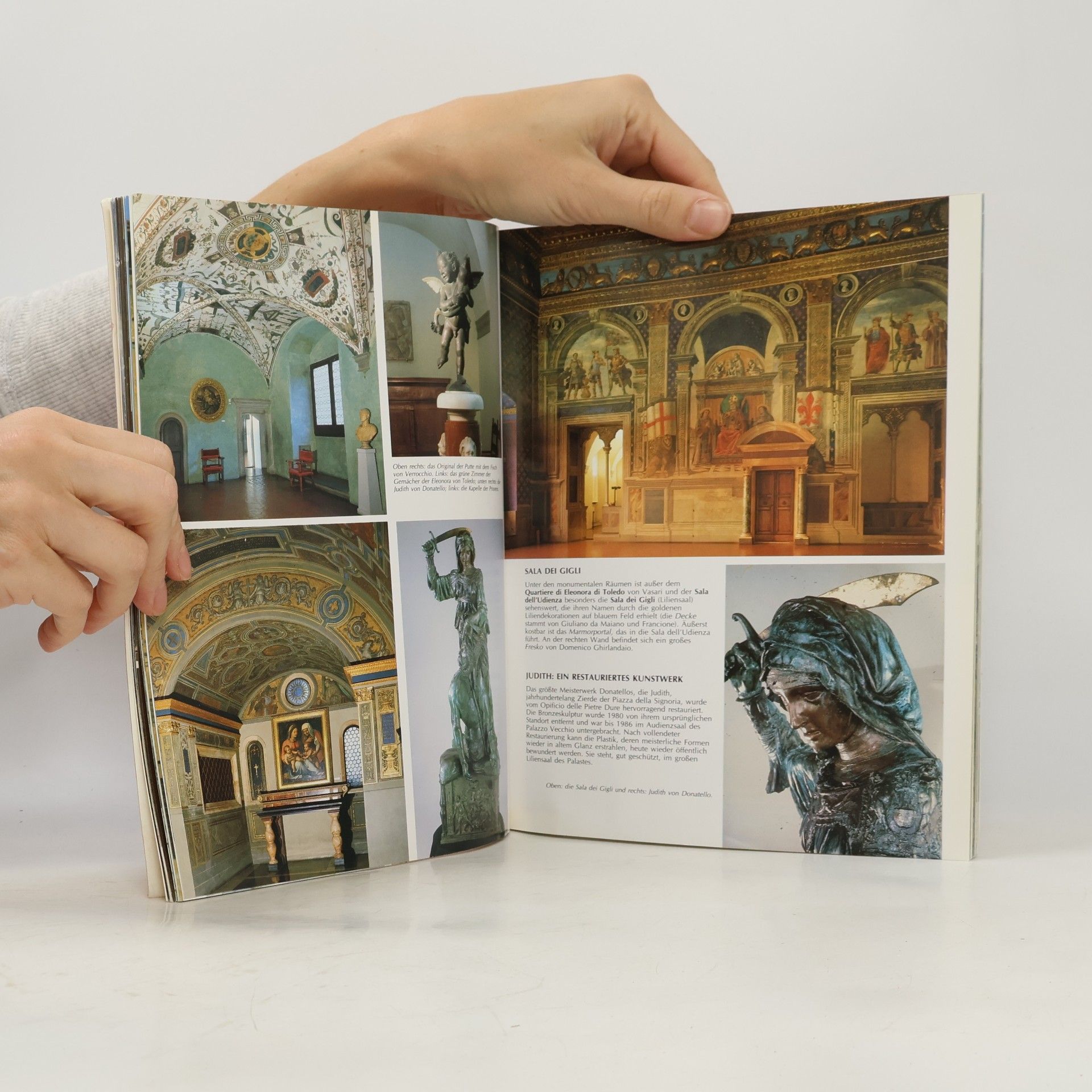 Kolektiv autorů Das goldene Buch von Florenz