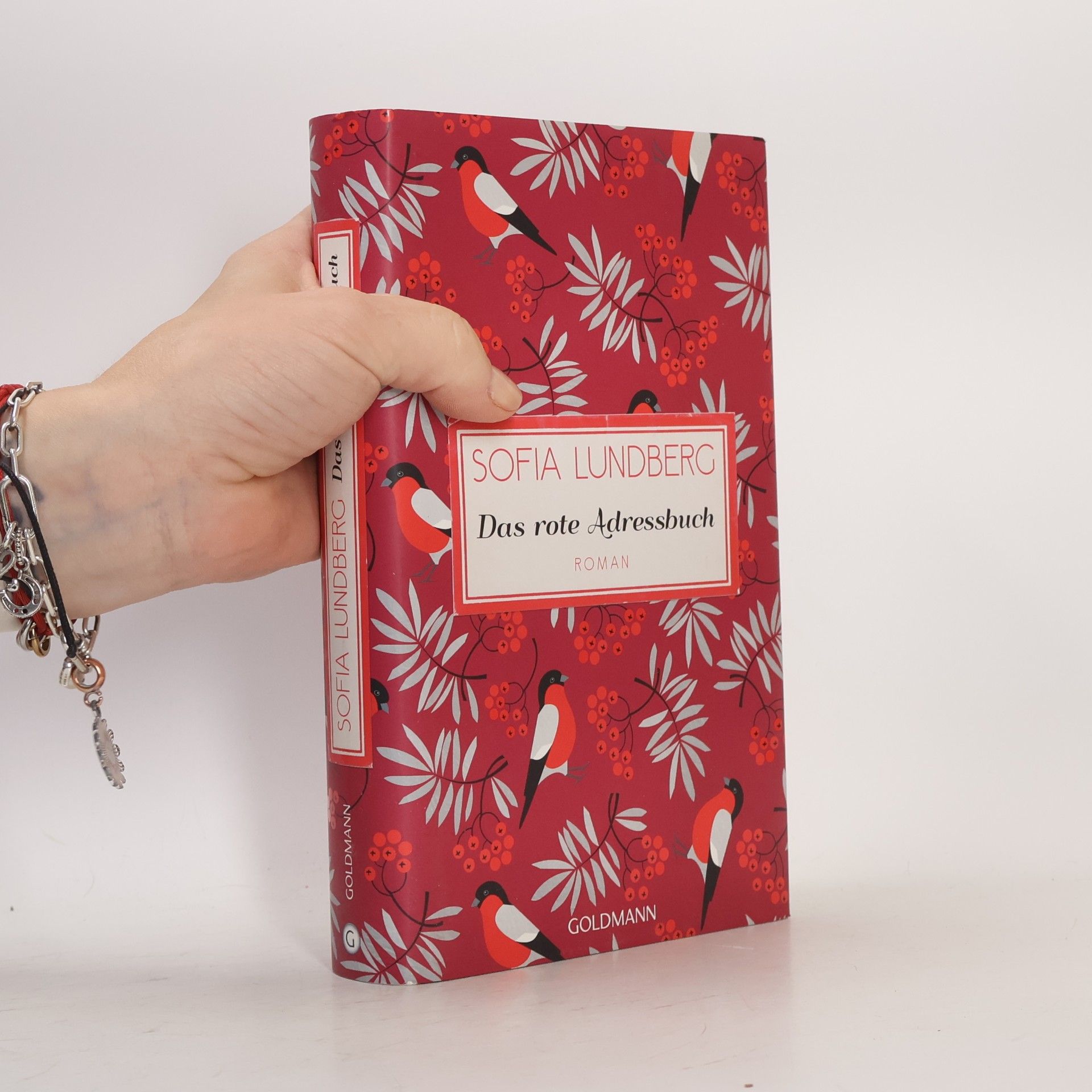 Sofia Lundberg Das rote Adressbuch