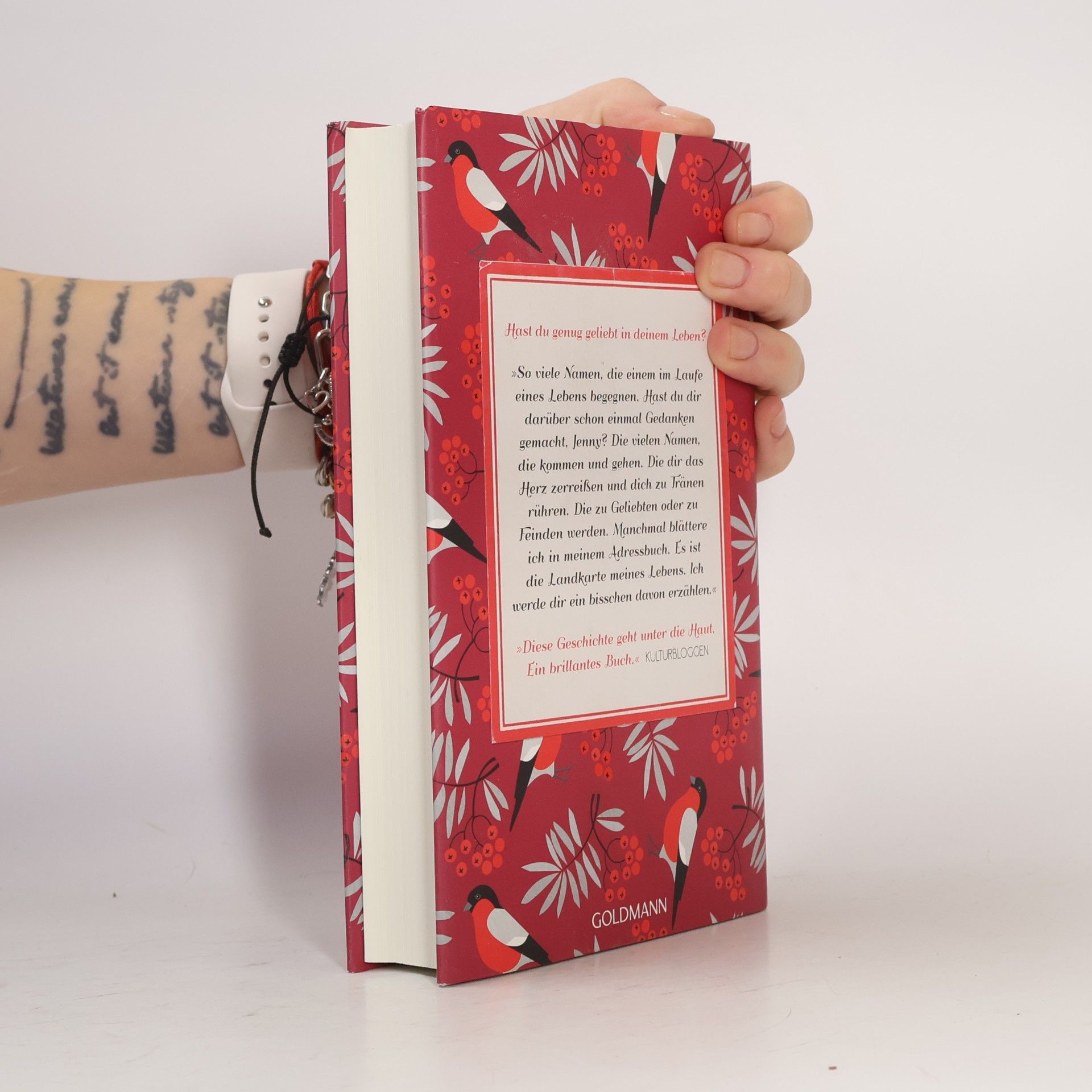 Sofia Lundberg Das rote Adressbuch