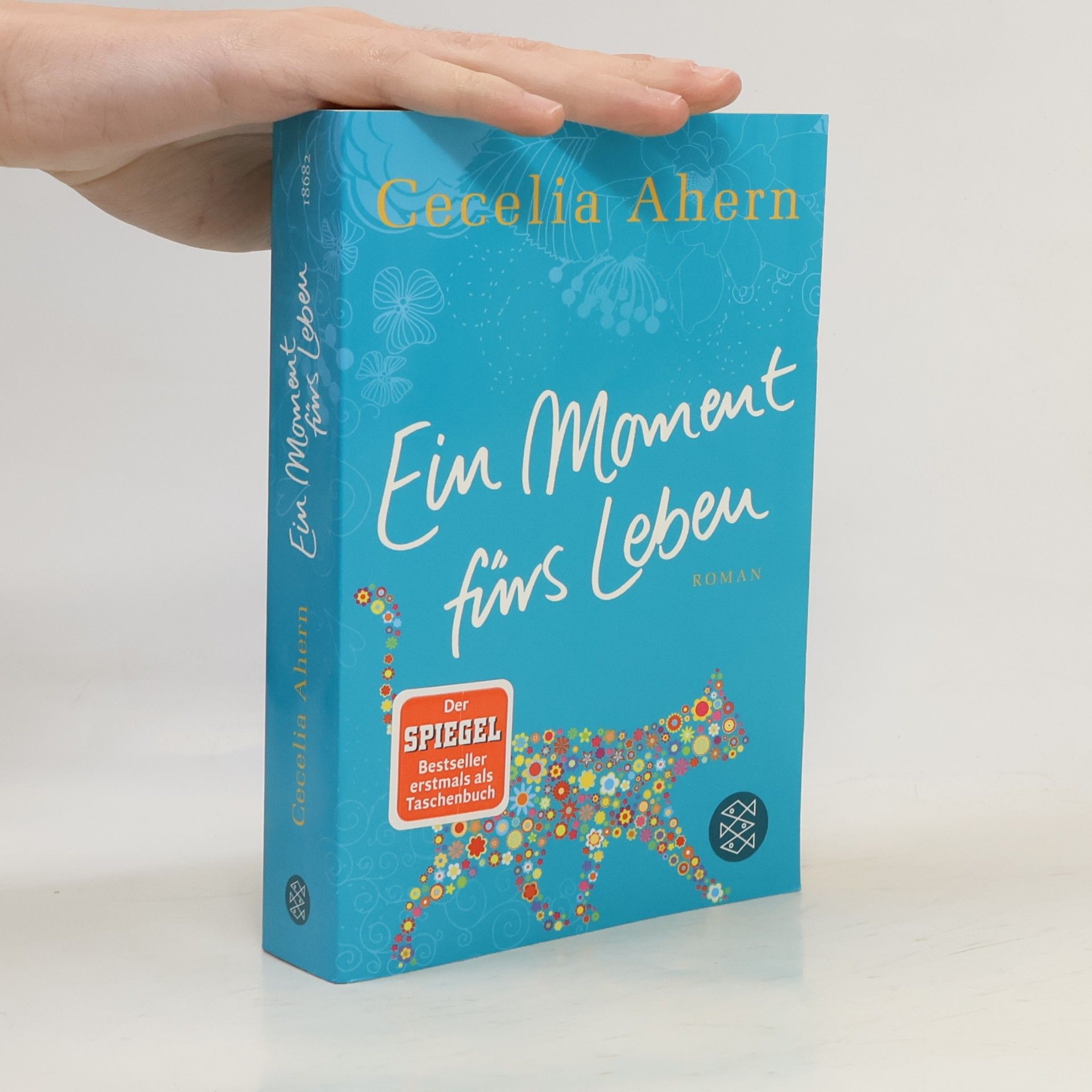 Cecelia Ahern Ein Moment fürs Leben