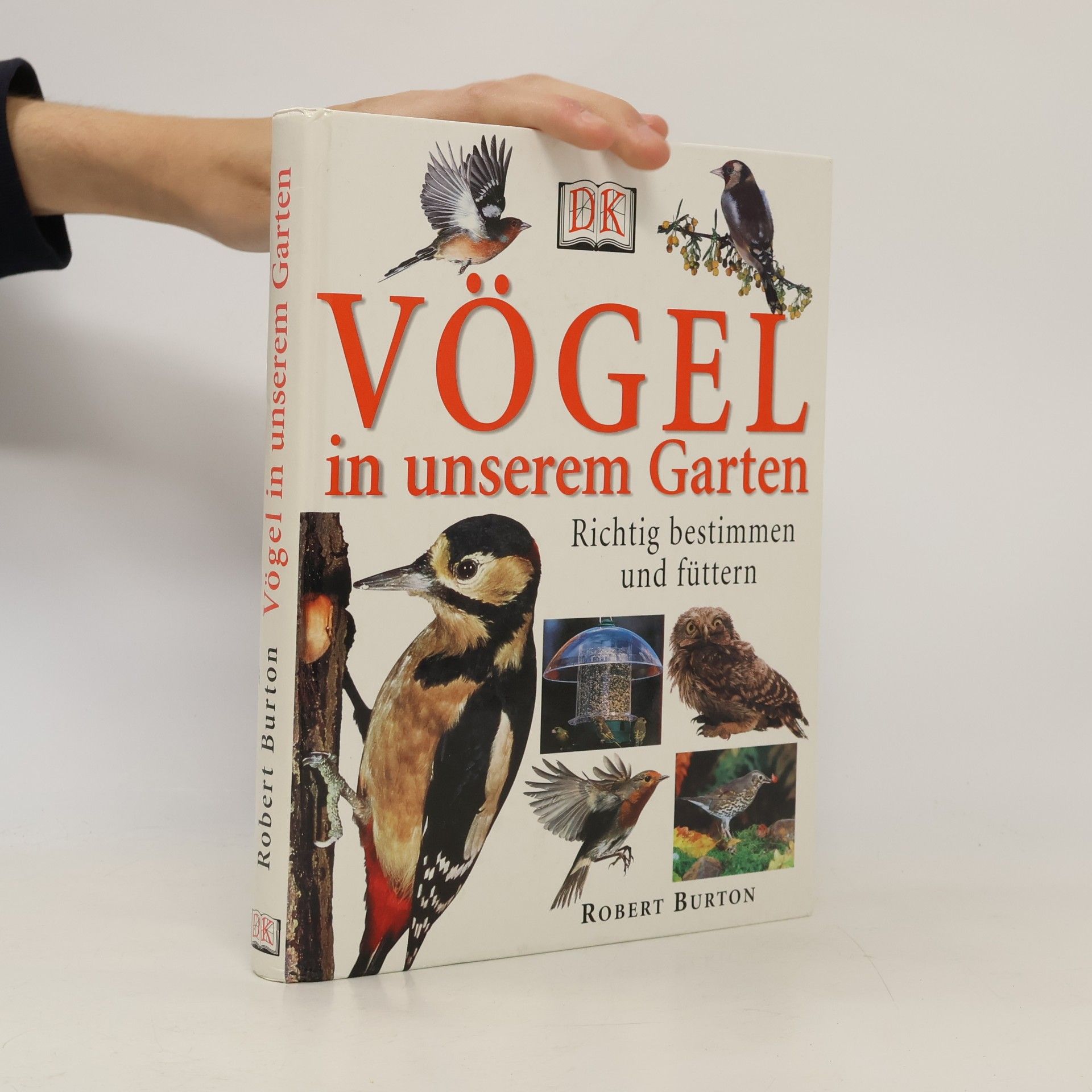 Vögel in unserem Garten