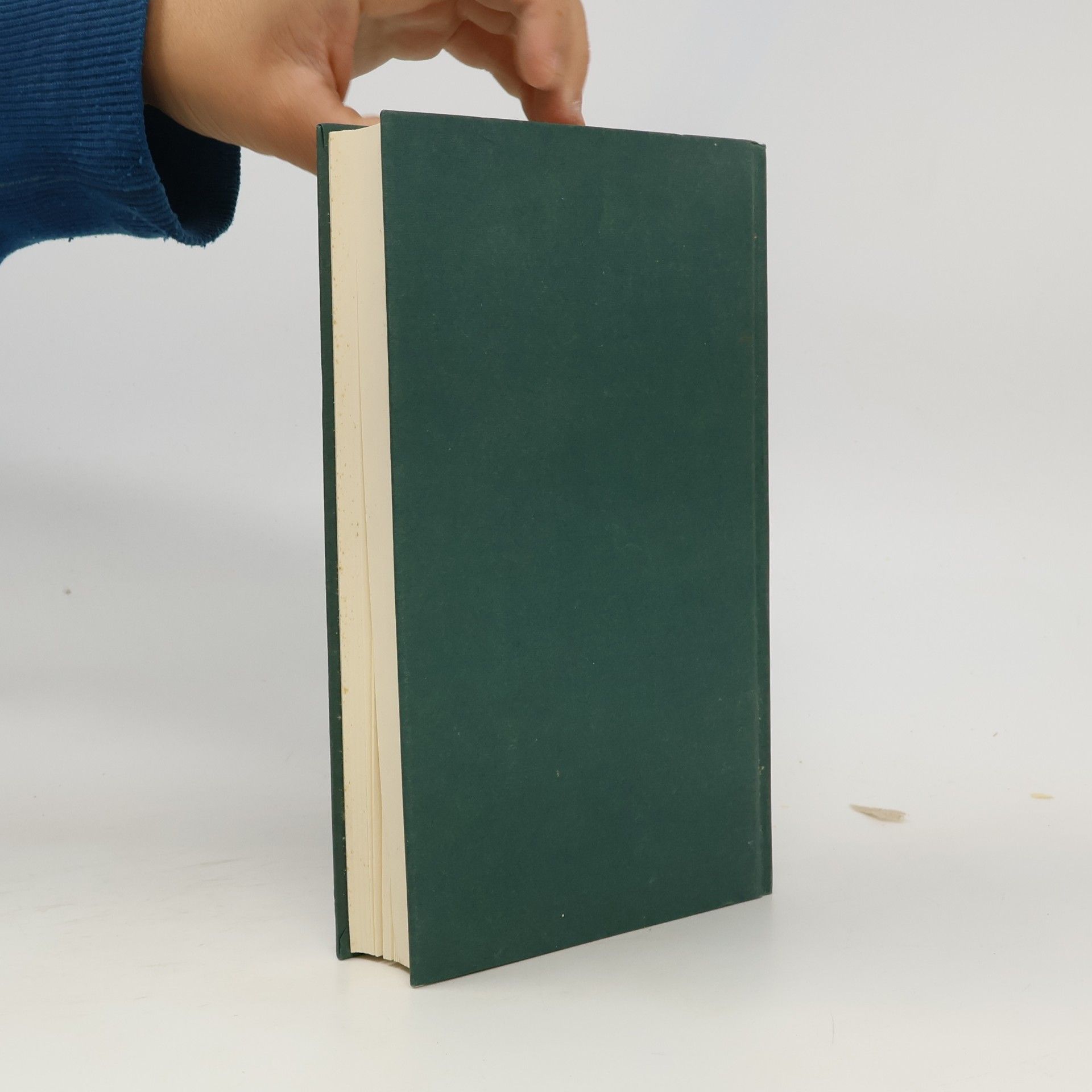 Kristin Hannah Blüte der Dämmerung