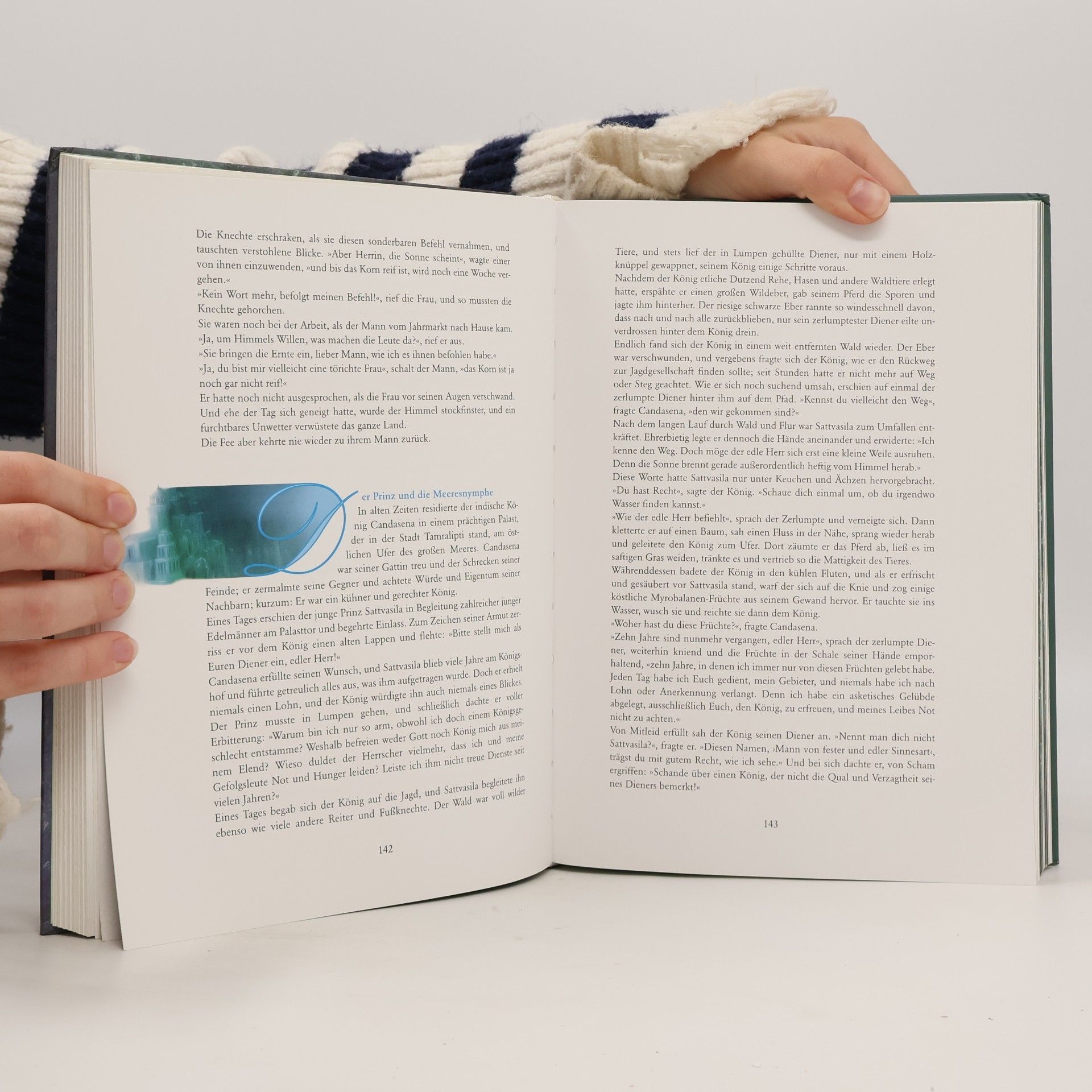 Andreas Gößling Das große Buch der Feen und Elfen