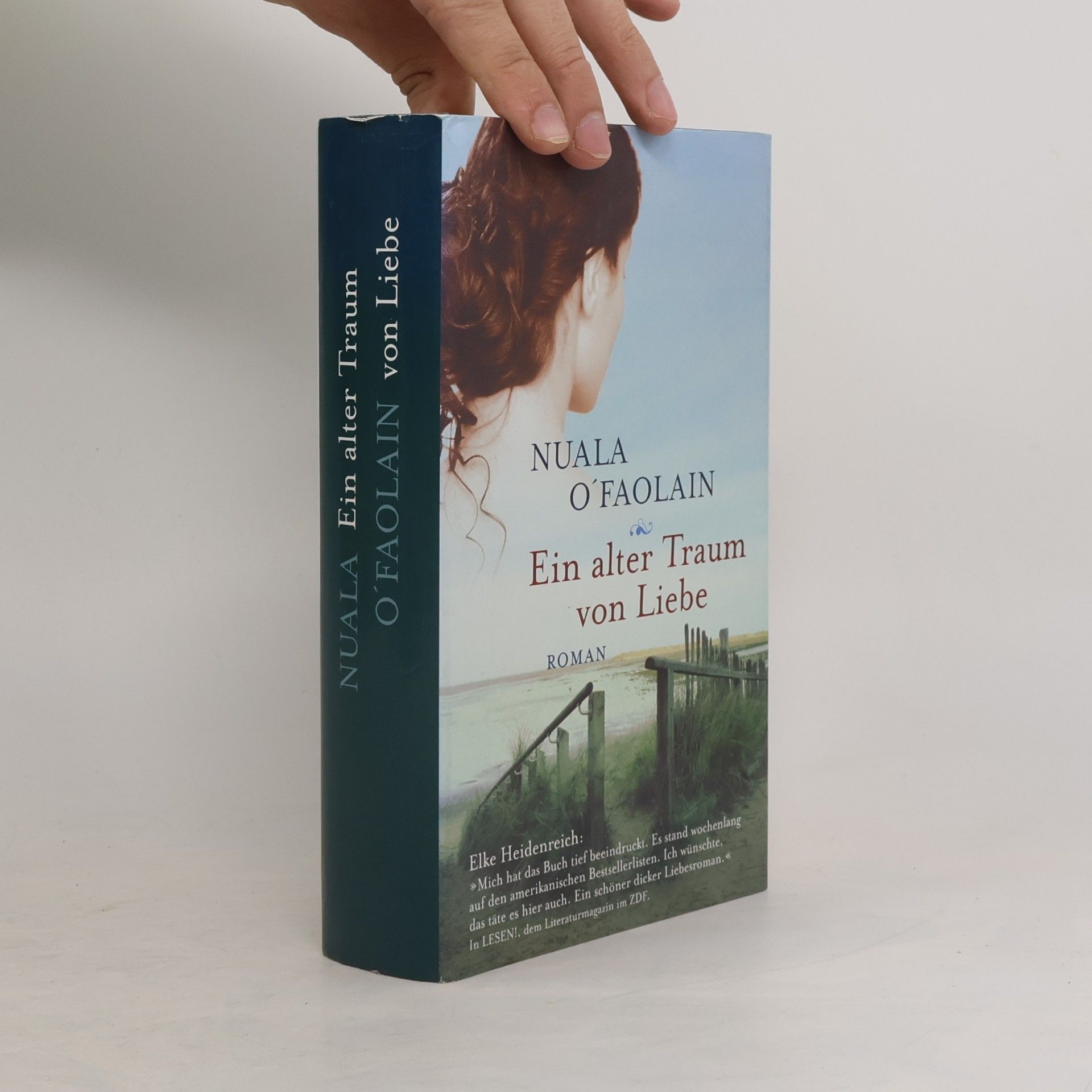Nuala O. Faolain Ein alter Traum von Liebe