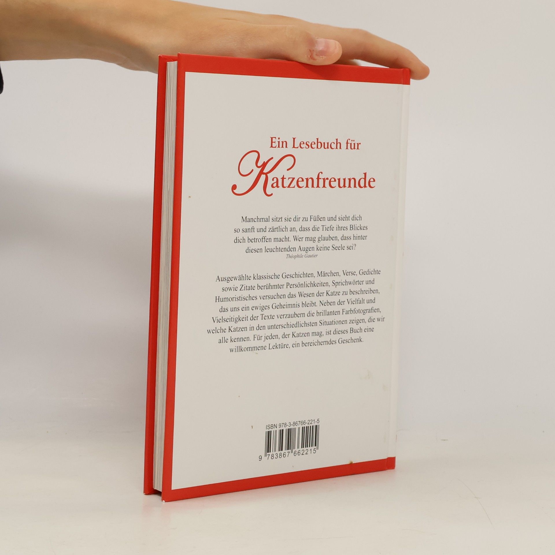 Kolektiv autorů Ein Lesebuch für Katzenfreunde