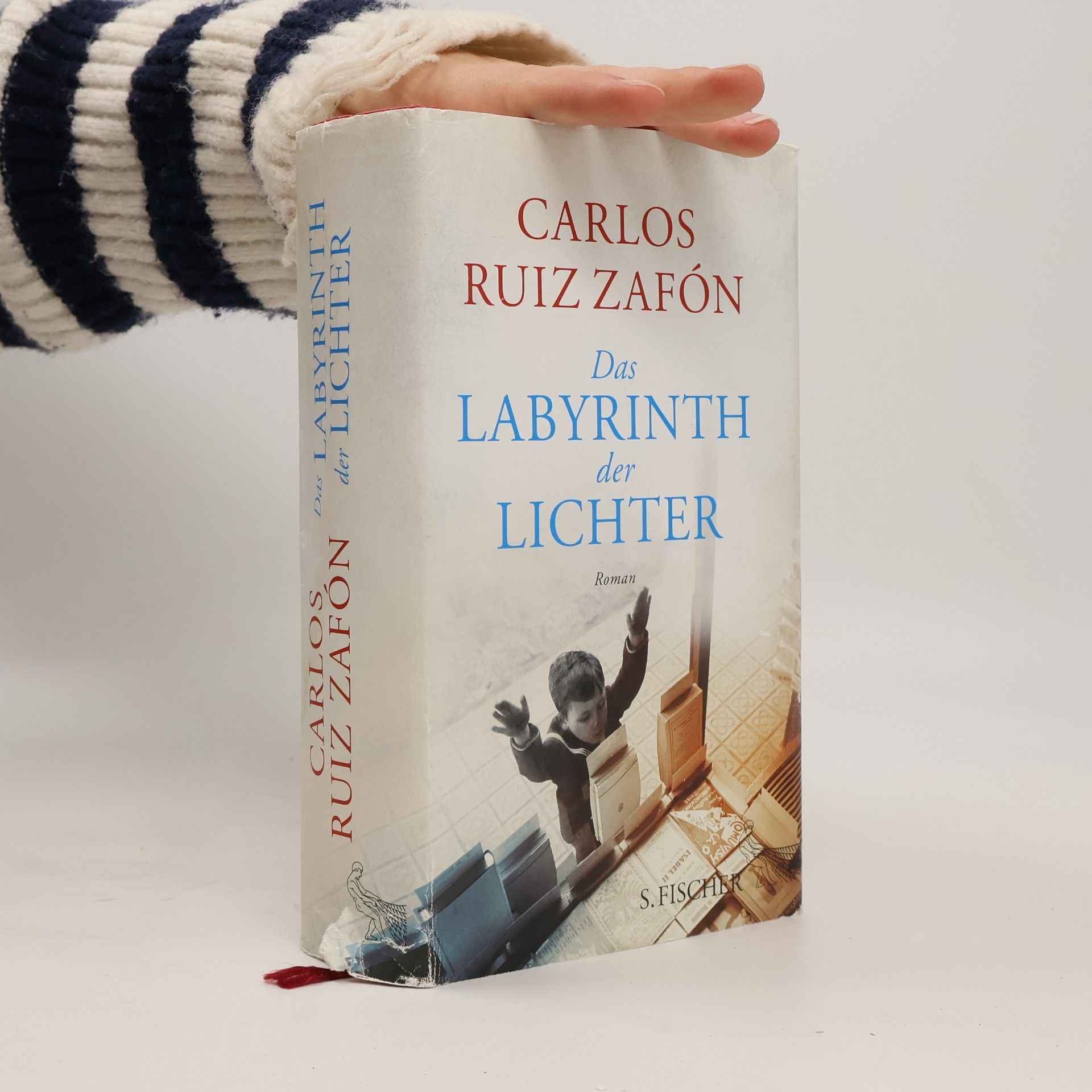 Carlos Ruiz Zafón Das Labyrinth der Lichter