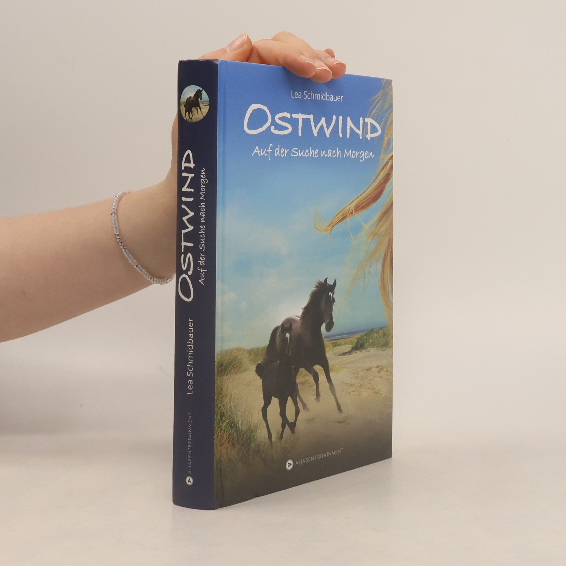 Ostwind - auf der Suche nach Morgen