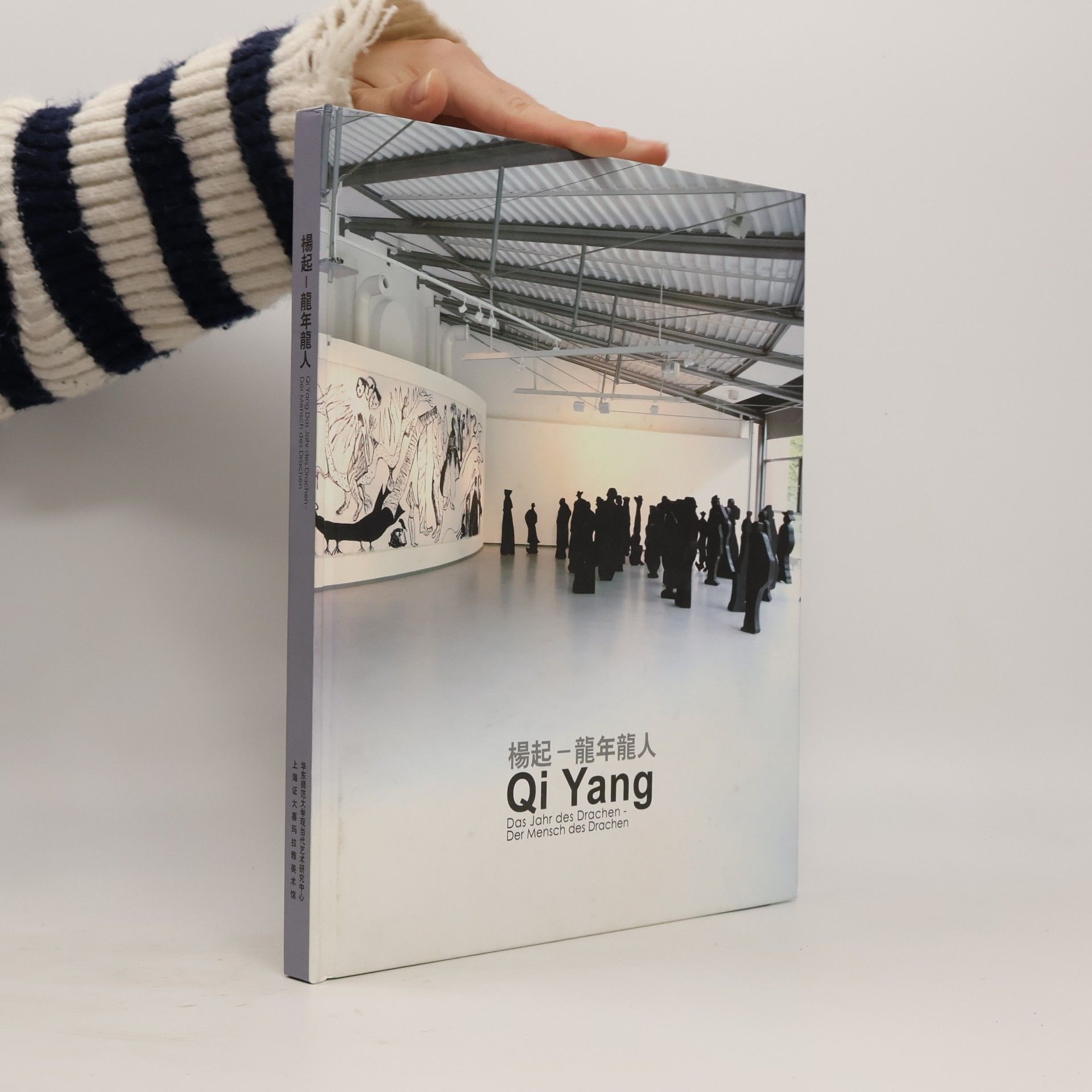 Collectif d'auteurs Qi Yang. Das Jahr des Drachen - Der Mensch des Drachen