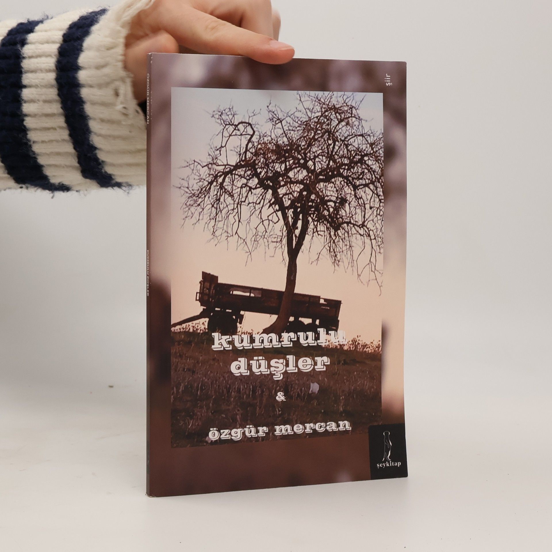 Özgür Mercan Kumrulu Düşler