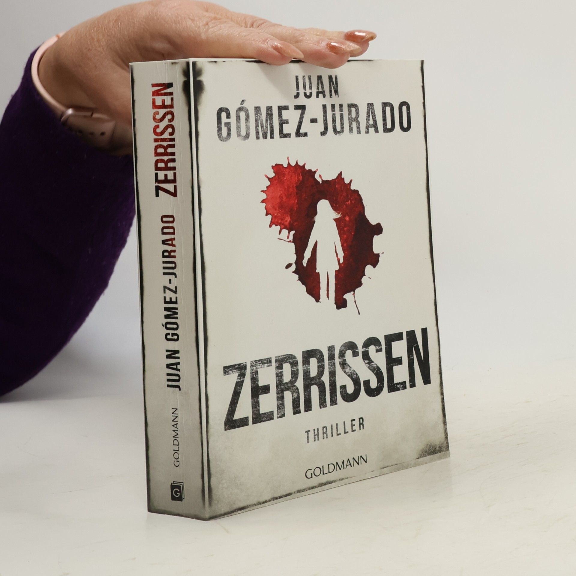 Juan Gómez-Jurado Zerrissen