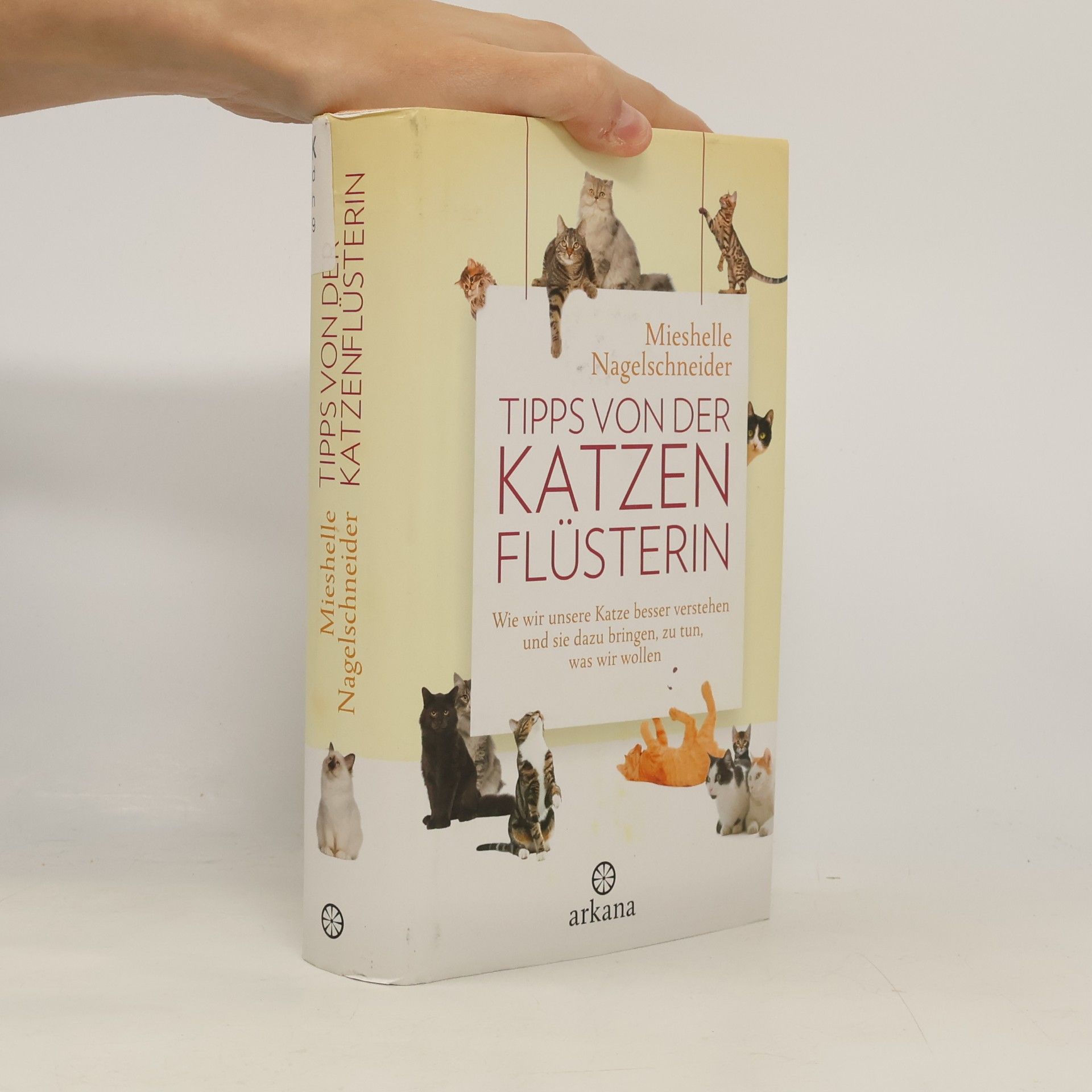 Mieshelle Nagelschneider Tipps von der Katzenflüsterin
