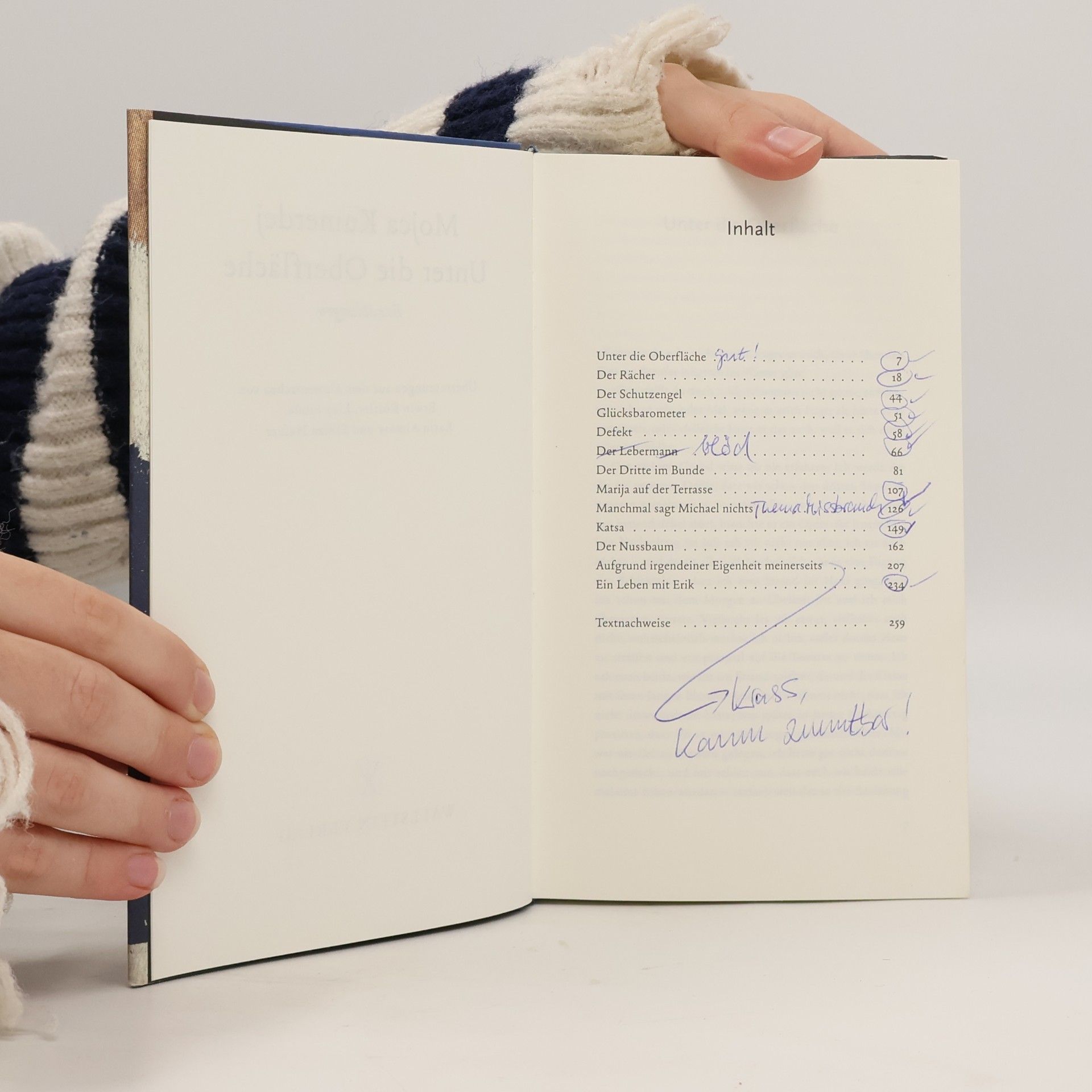 Mojca Kumerdej Unter die Oberfläche
