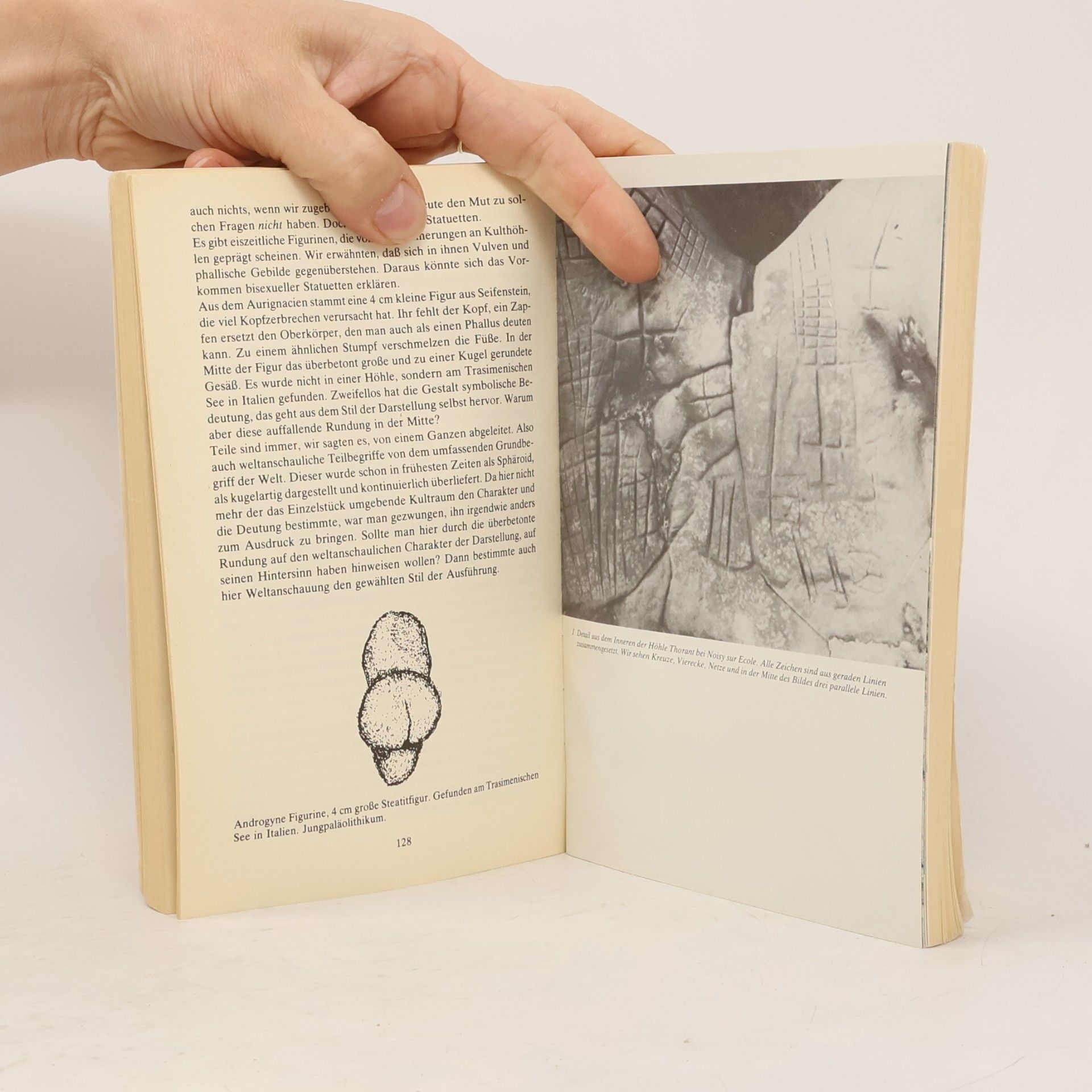 Richard Fester Weib und Macht