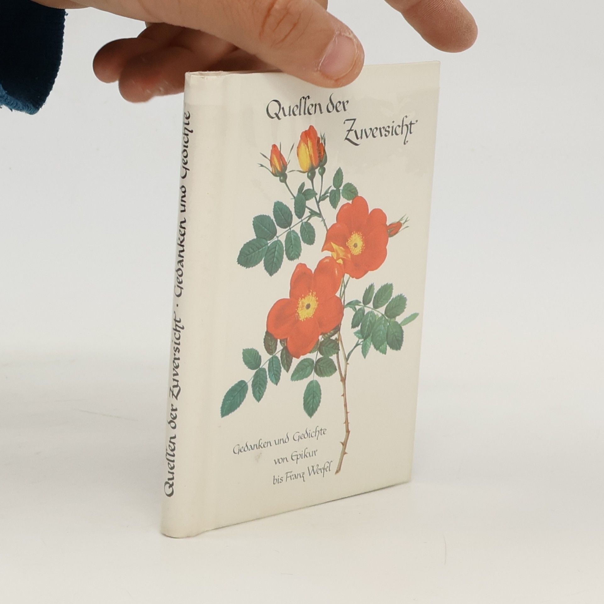 kolektiv Quellen der Zuversicht